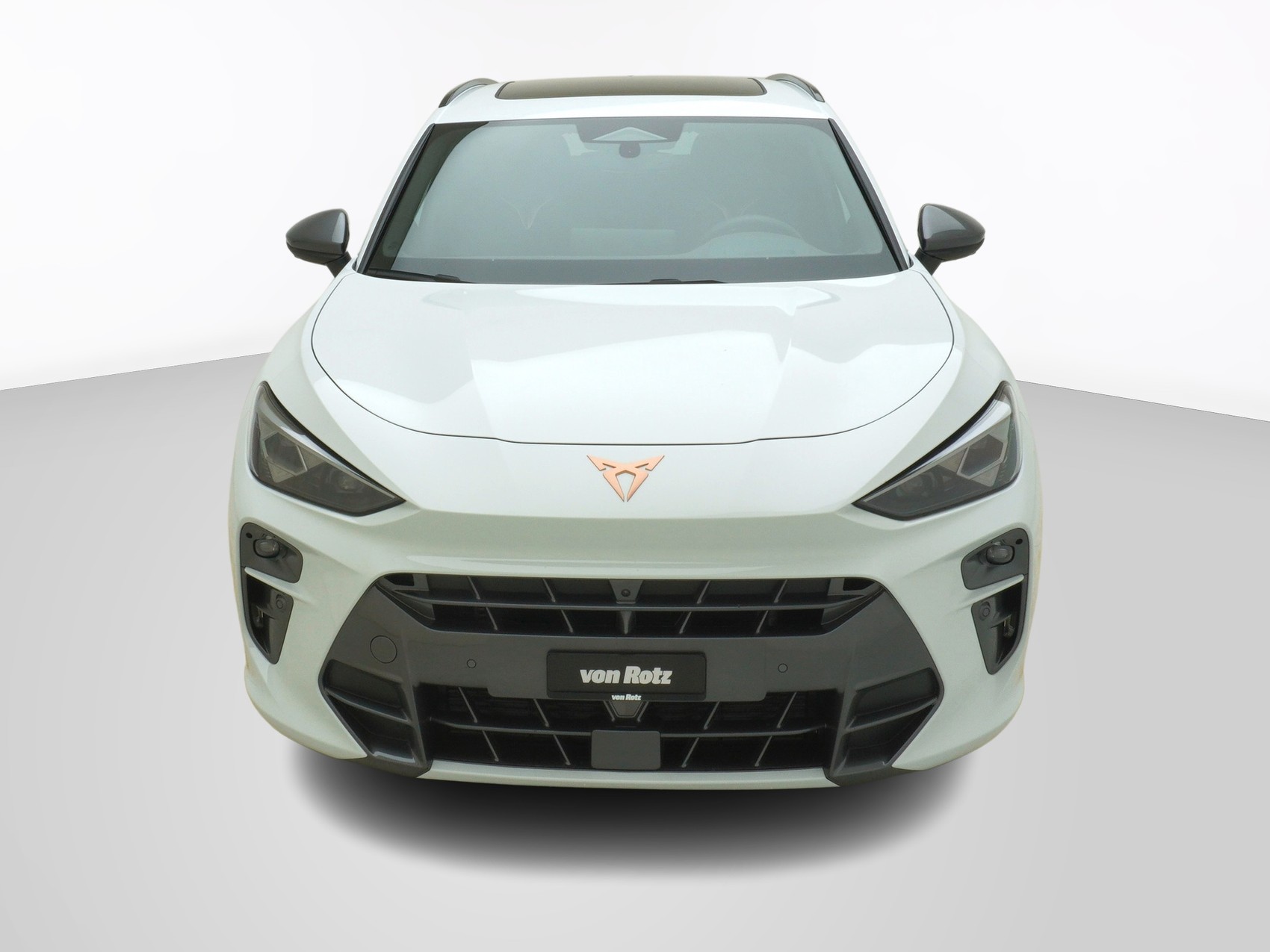 CUPRA Terramar 2.0 TSI VZ 4Drive DSG-image-1