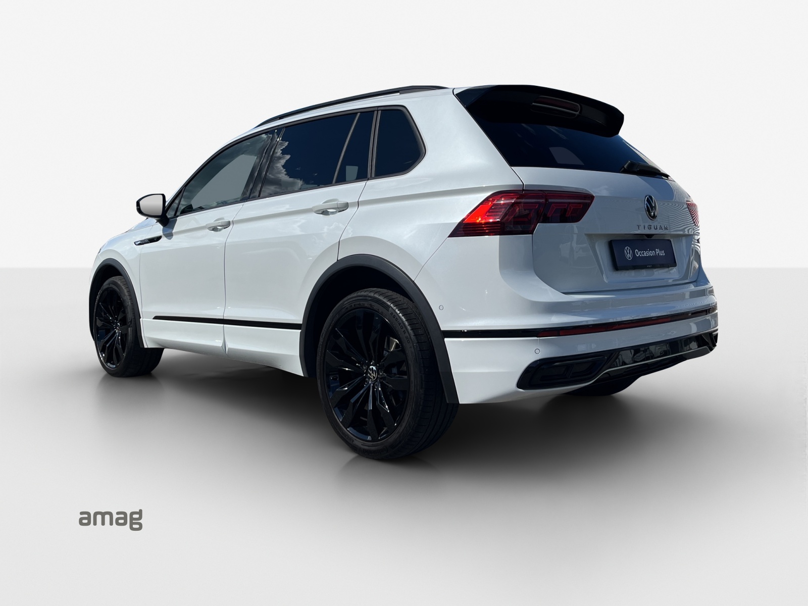 VW Tiguan 2.0TSI R-Line 4Motion DSG-showroom-element-2