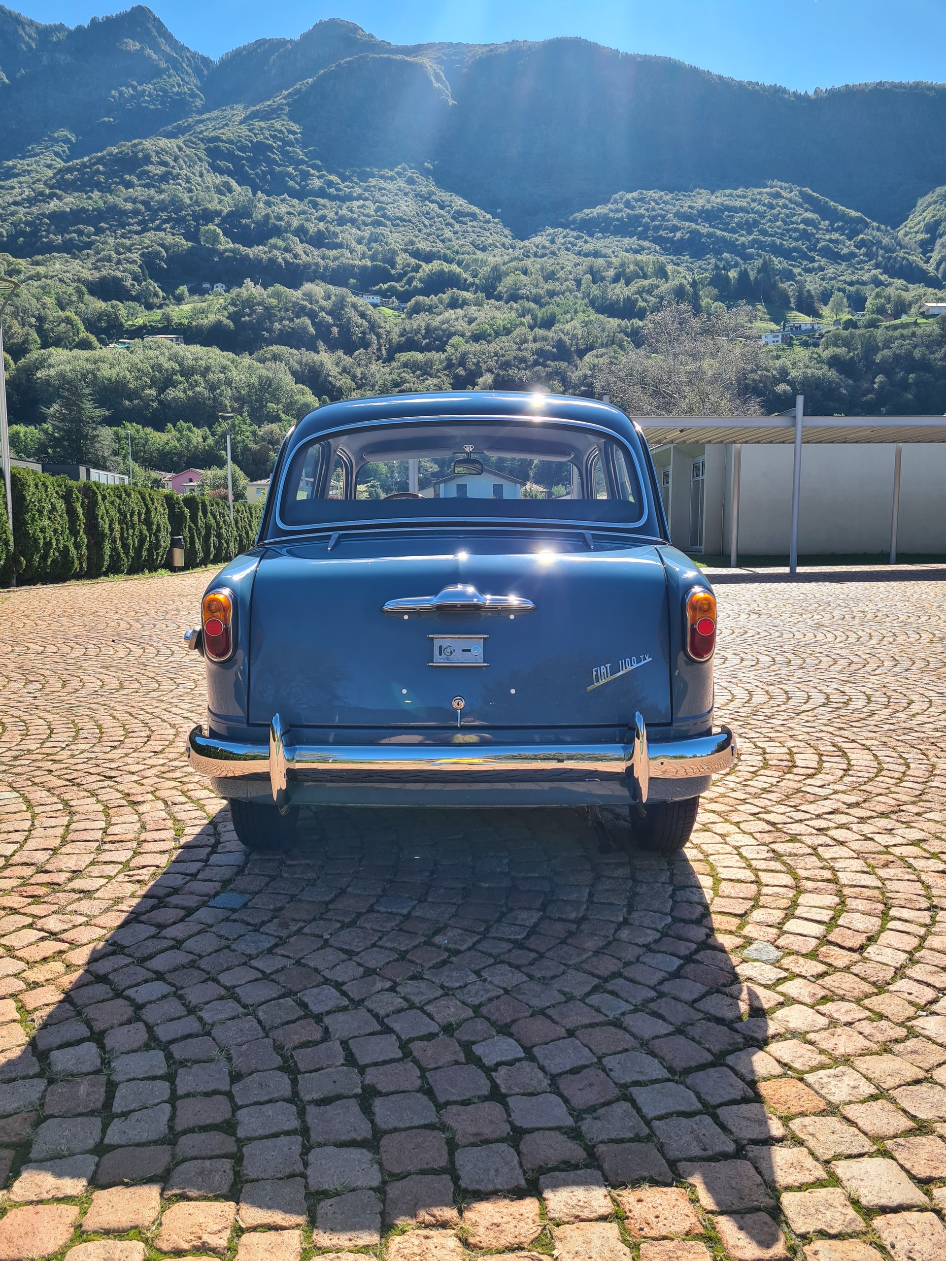 FIAT 1100 TV-image-3