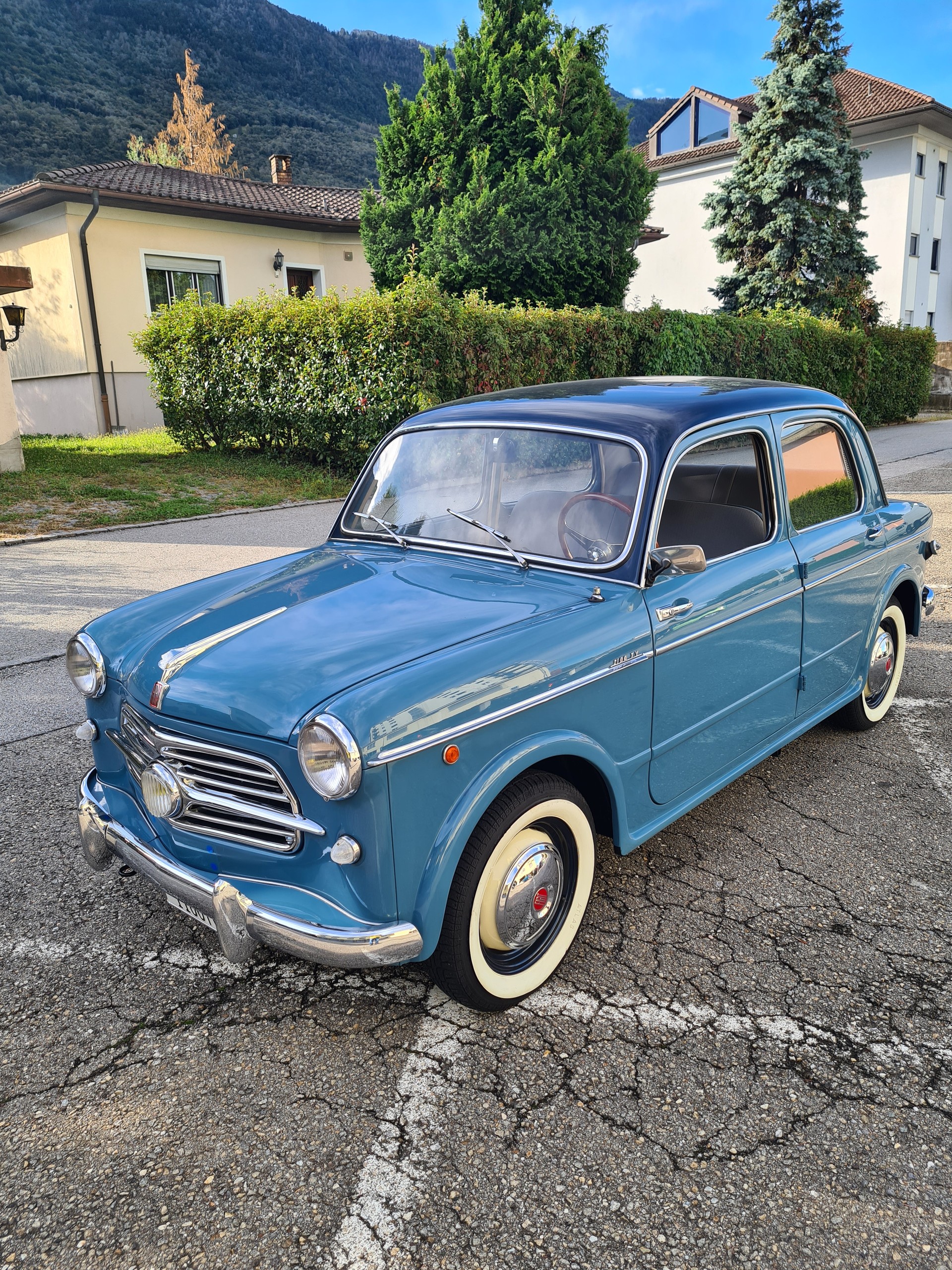 FIAT 1100 TV-image-0