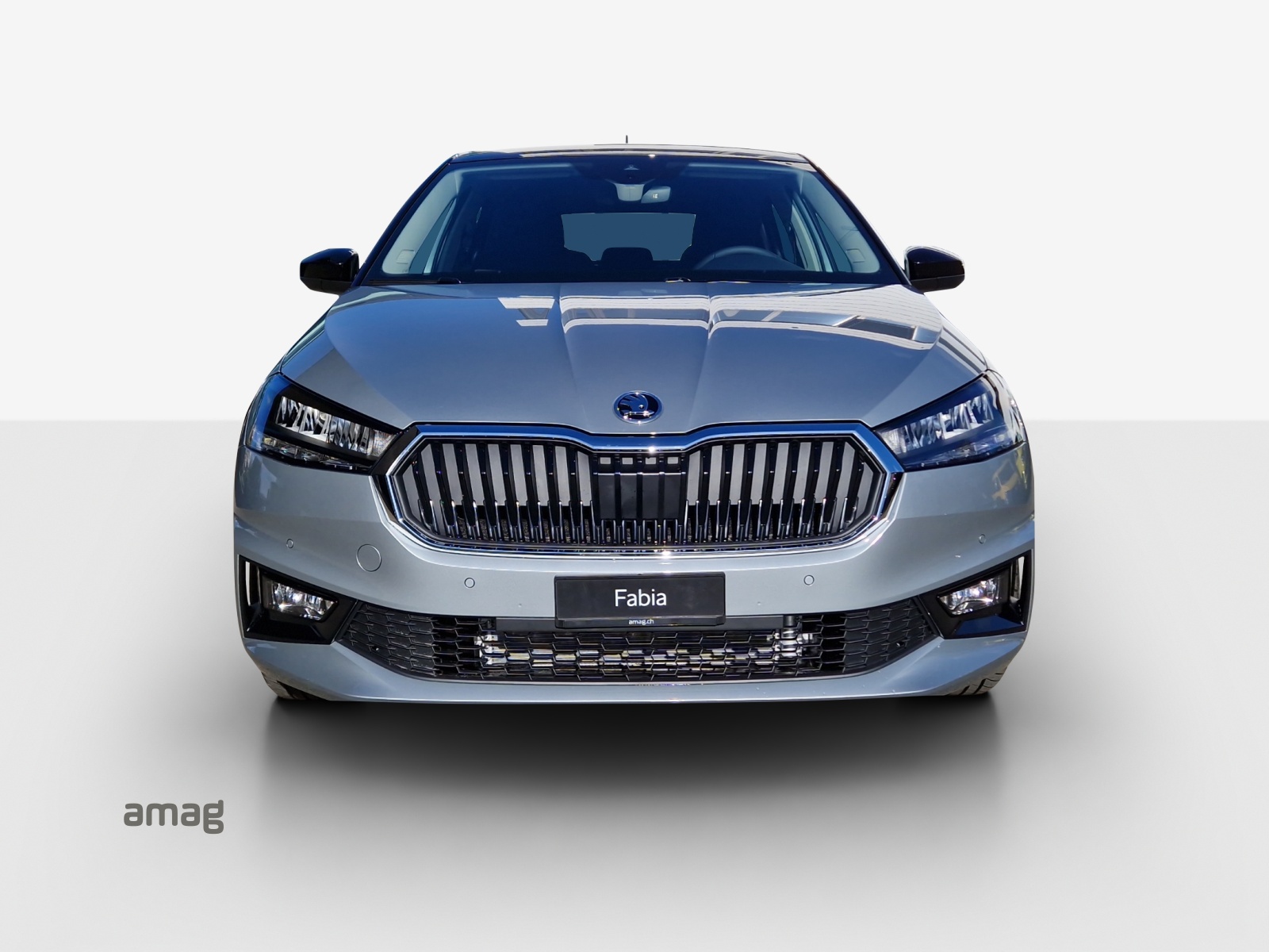 SKODA Fabia 1.0 TSI Dynamic DSG-image-6