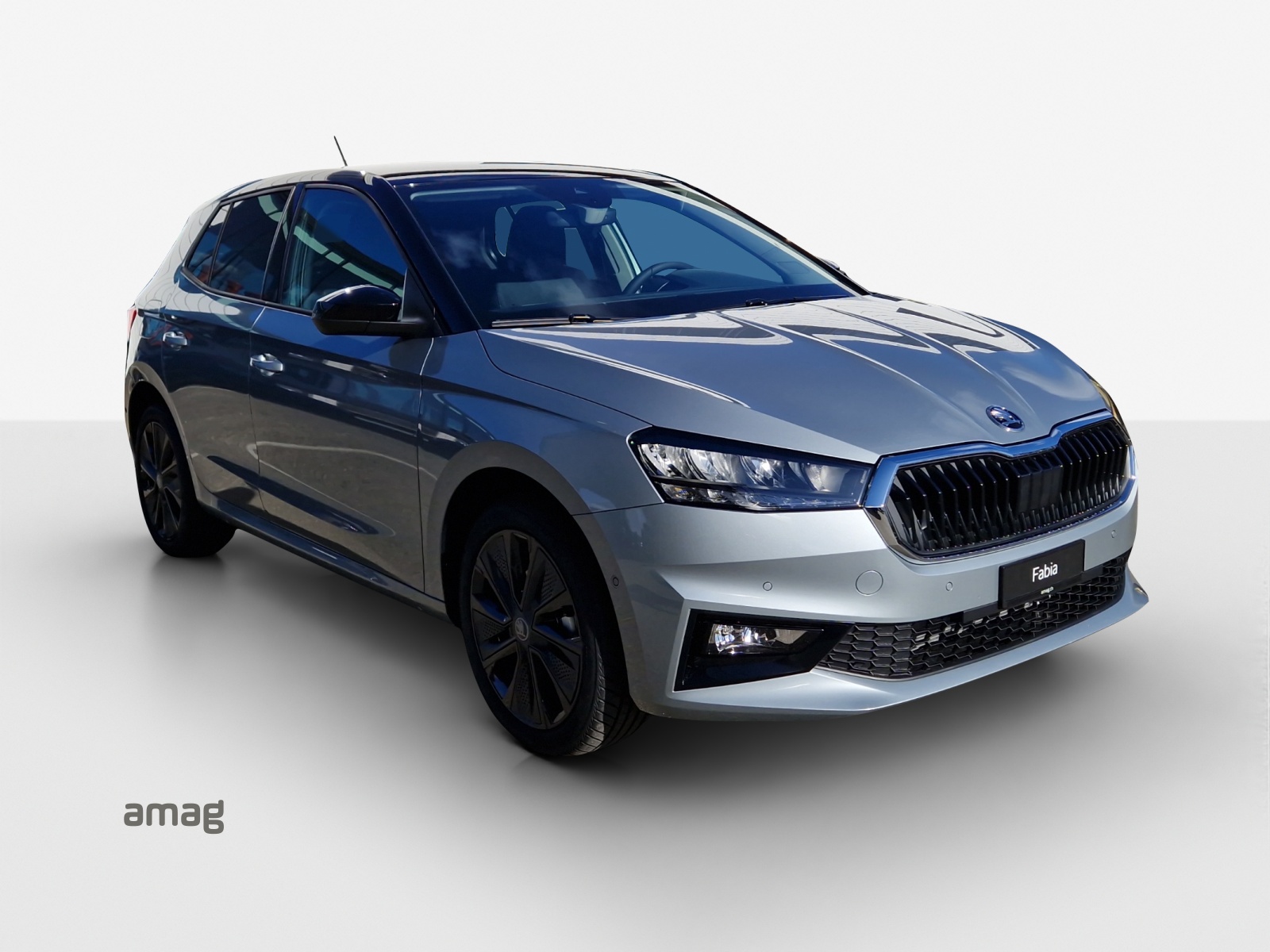 SKODA Fabia 1.0 TSI Dynamic DSG-image-5
