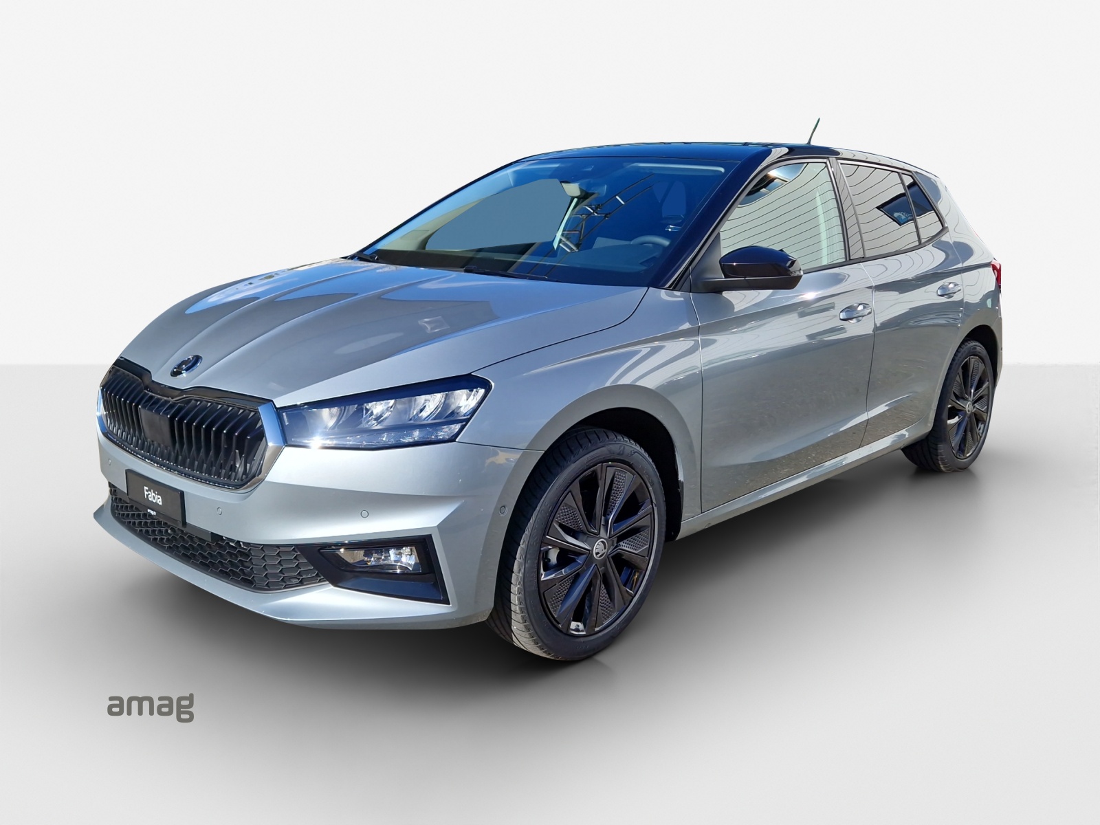 SKODA Fabia 1.0 TSI Dynamic DSG-image-0