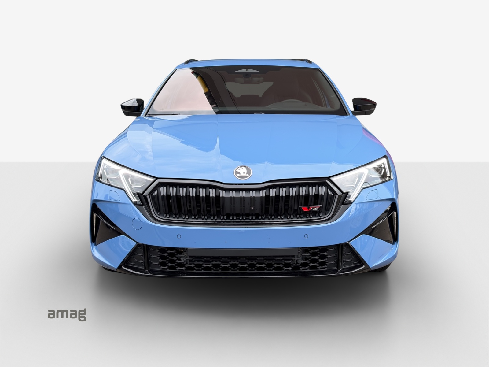 SKODA Octavia Combi 2.0 TSI DSG RS 30 Years Edition-image-6