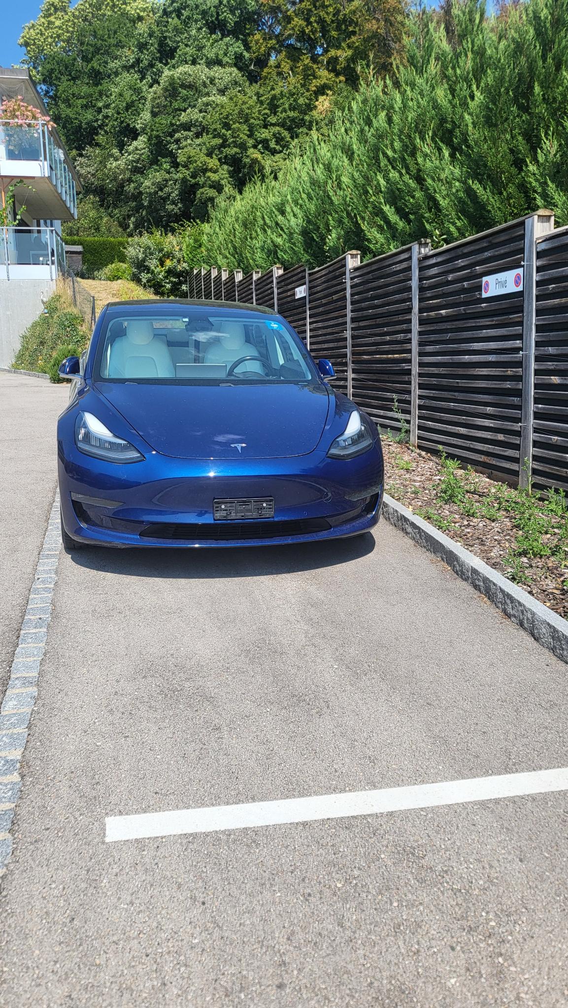 TESLA Long Range Dual Motor AWD, FSD-image-0