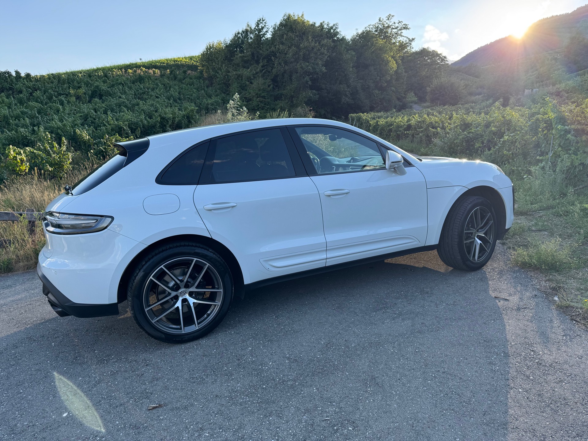 PORSCHE 2.0-image-4