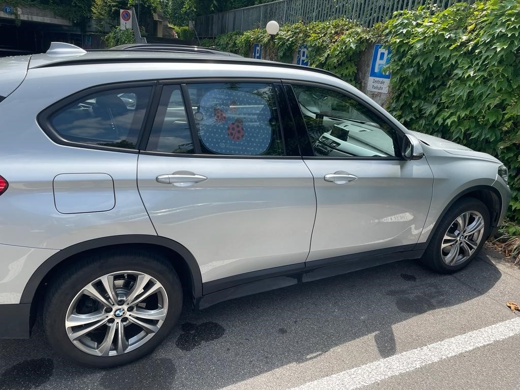 BMW X1 xDrive 20d xLine Steptronic-image-2