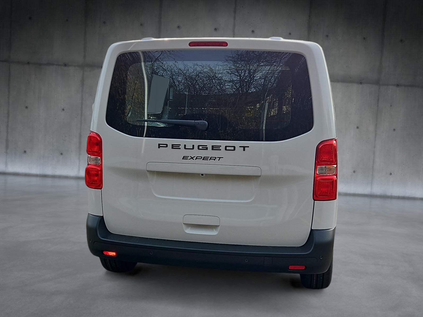 PEUGEOT Expert 1.5 BlueHDi 120 S&S Vertiefte Kabine Standard-image-4