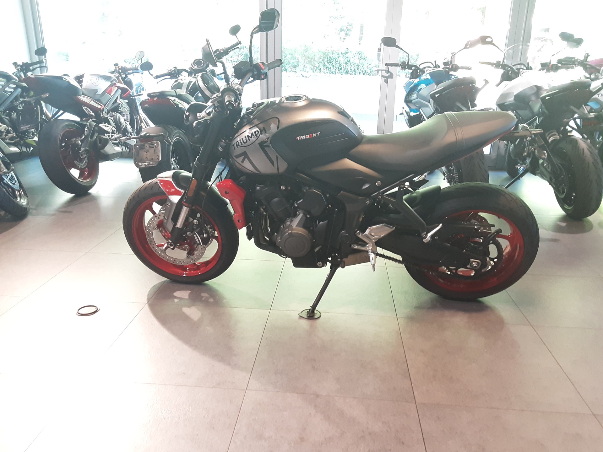 TRIUMPH Trident 660-image-1