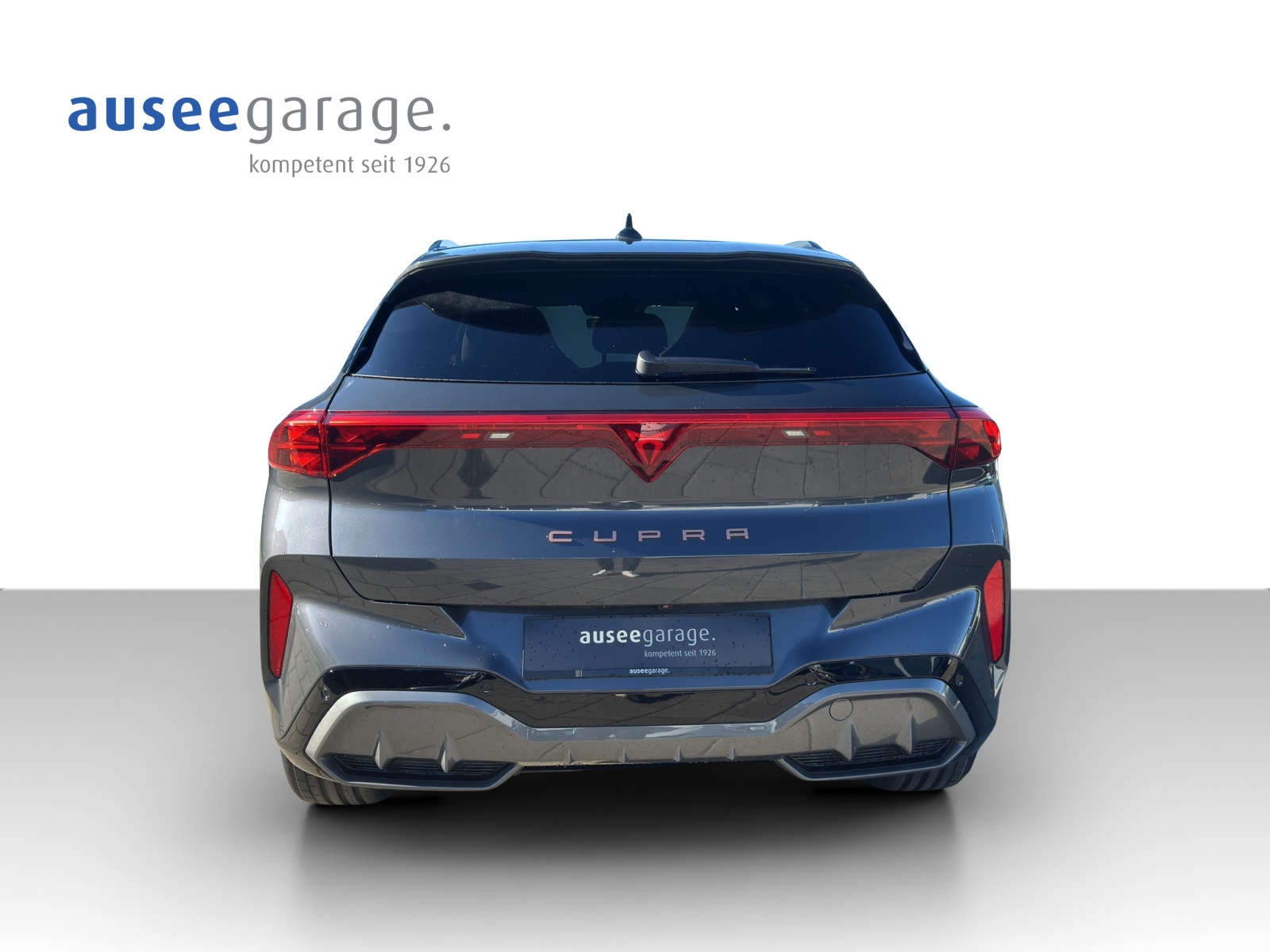 CUPRA Terramar PE2.0TSI 265PS 2000ccm 265PS/195kW 4 Zylinder TSI Benzin-image-3