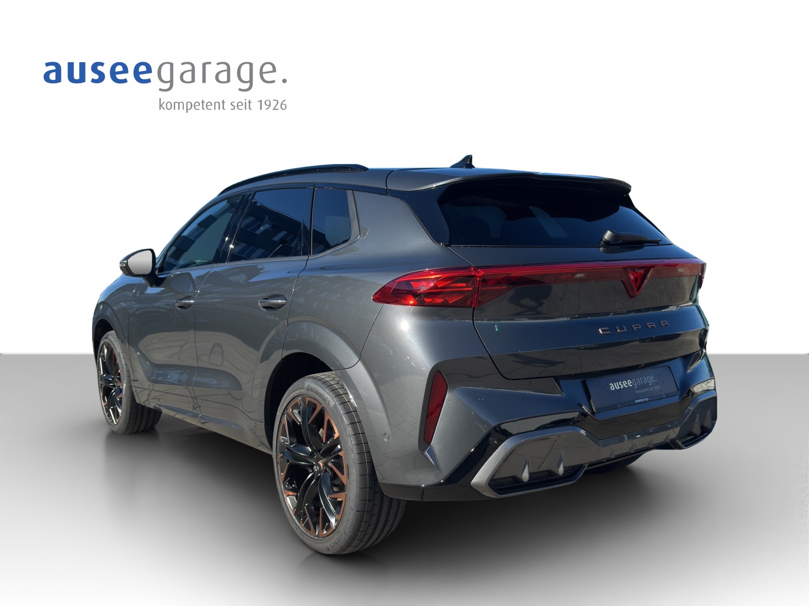 CUPRA Terramar PE2.0TSI 265PS 2000ccm 265PS/195kW 4 Zylinder TSI Benzin-image-2