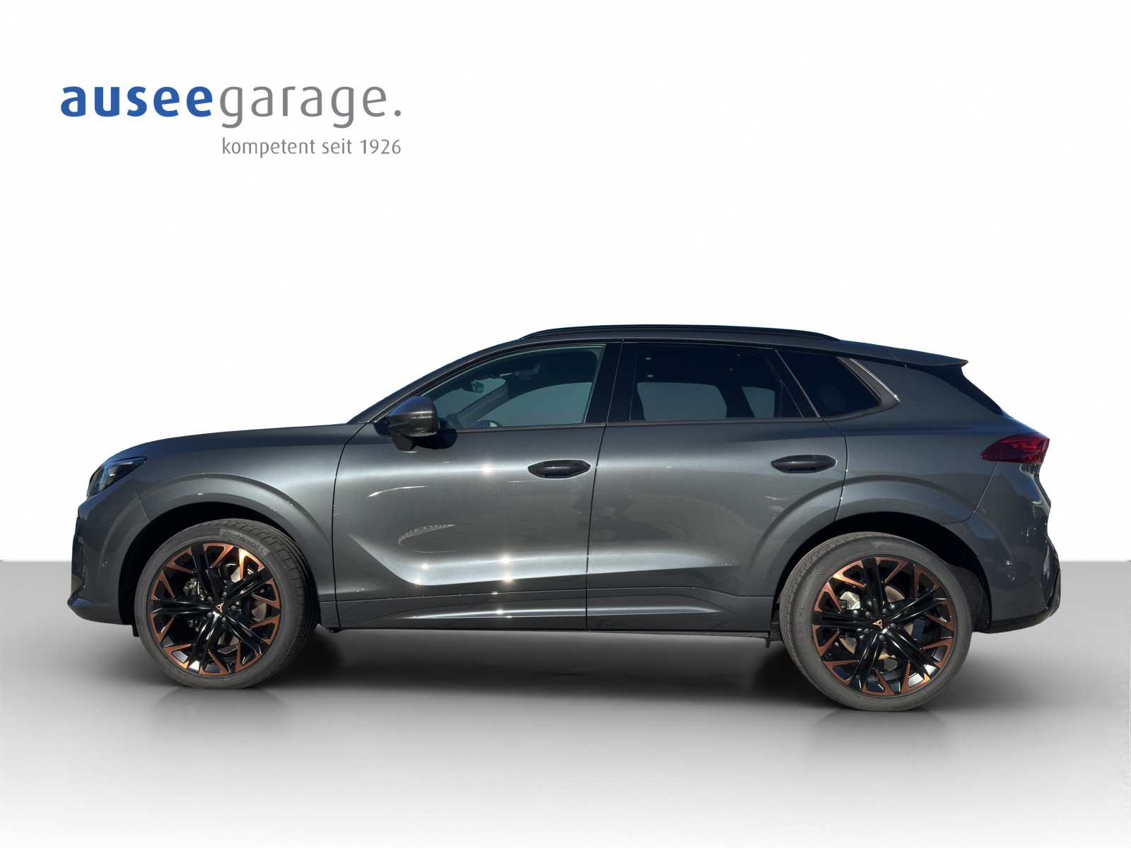 CUPRA Terramar PE2.0TSI 265PS 2000ccm 265PS/195kW 4 Zylinder TSI Benzin-image-1
