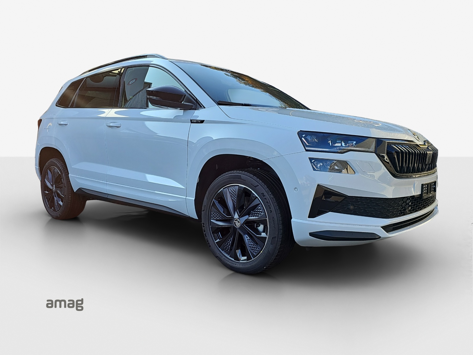 SKODA Karoq Dynamic Limited Edition (Netto)-image-5