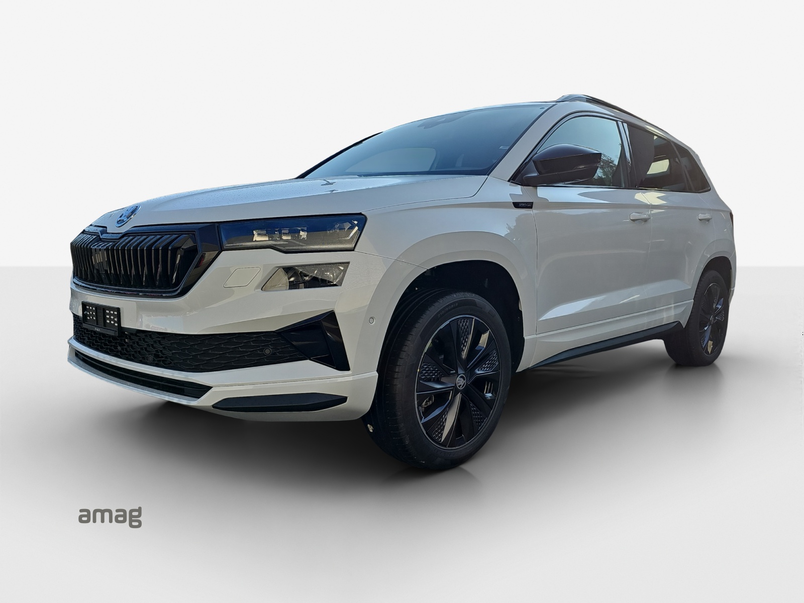 SKODA Karoq Dynamic Limited Edition (Netto)-image-0
