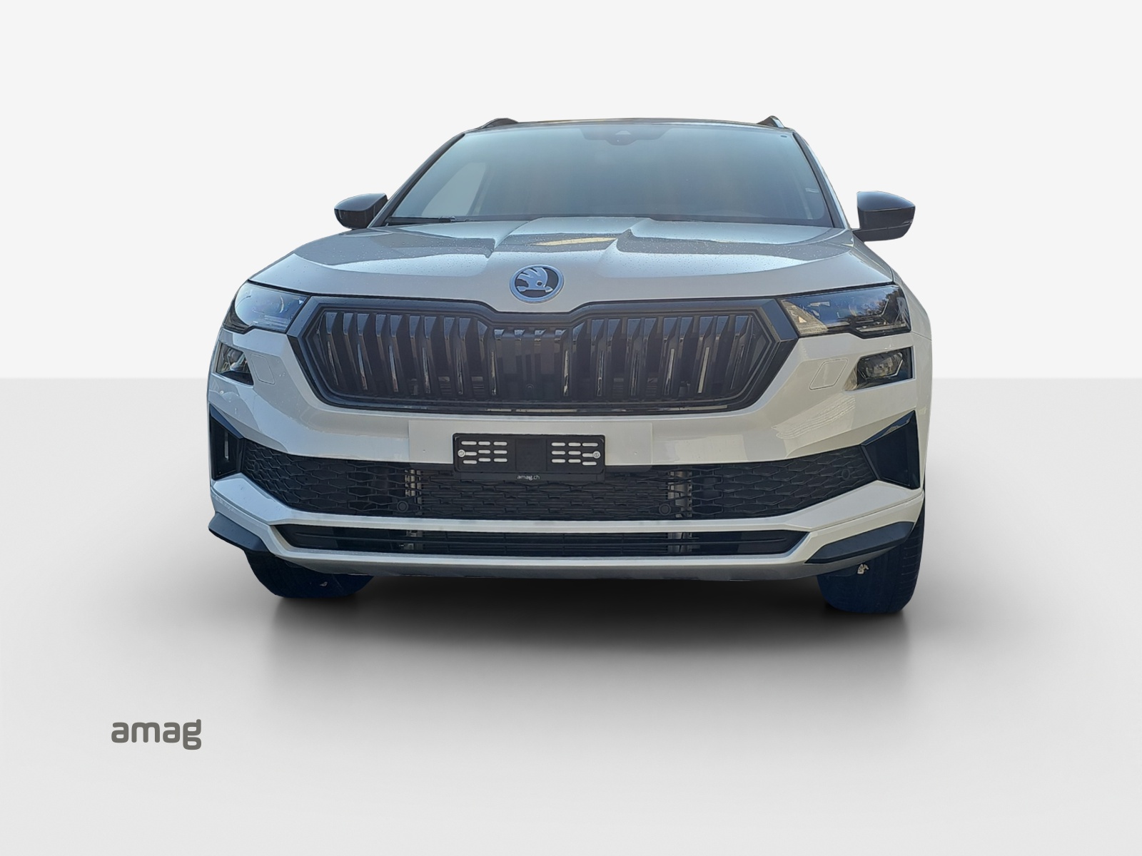 SKODA Karoq Dynamic Limited Edition (Netto)-image-6