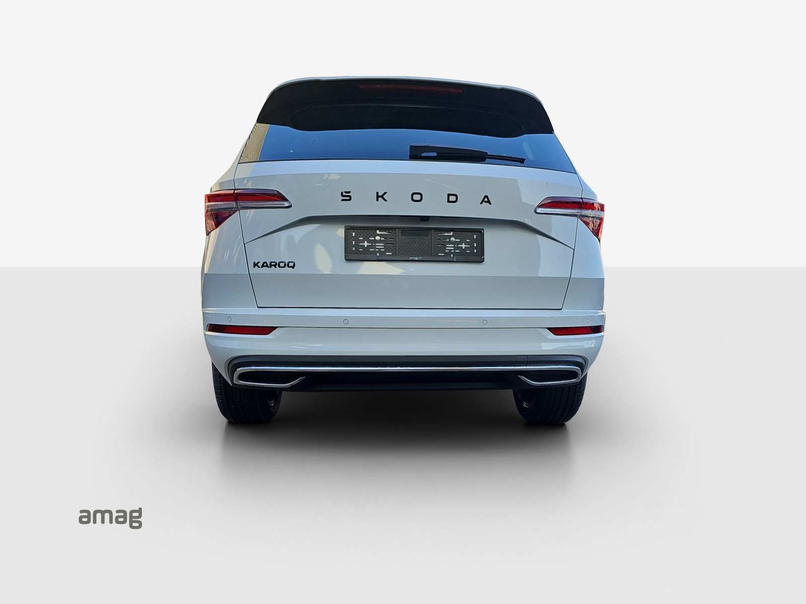SKODA Karoq Dynamic Limited Edition (Netto)-image-3