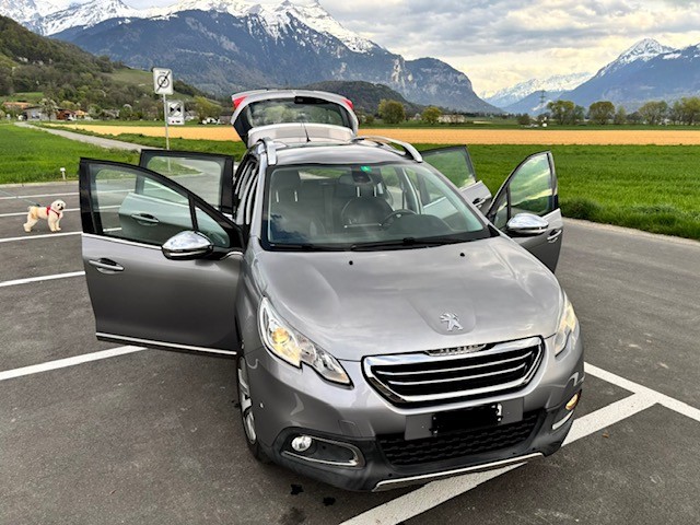PEUGEOT 649.540.172-image-5