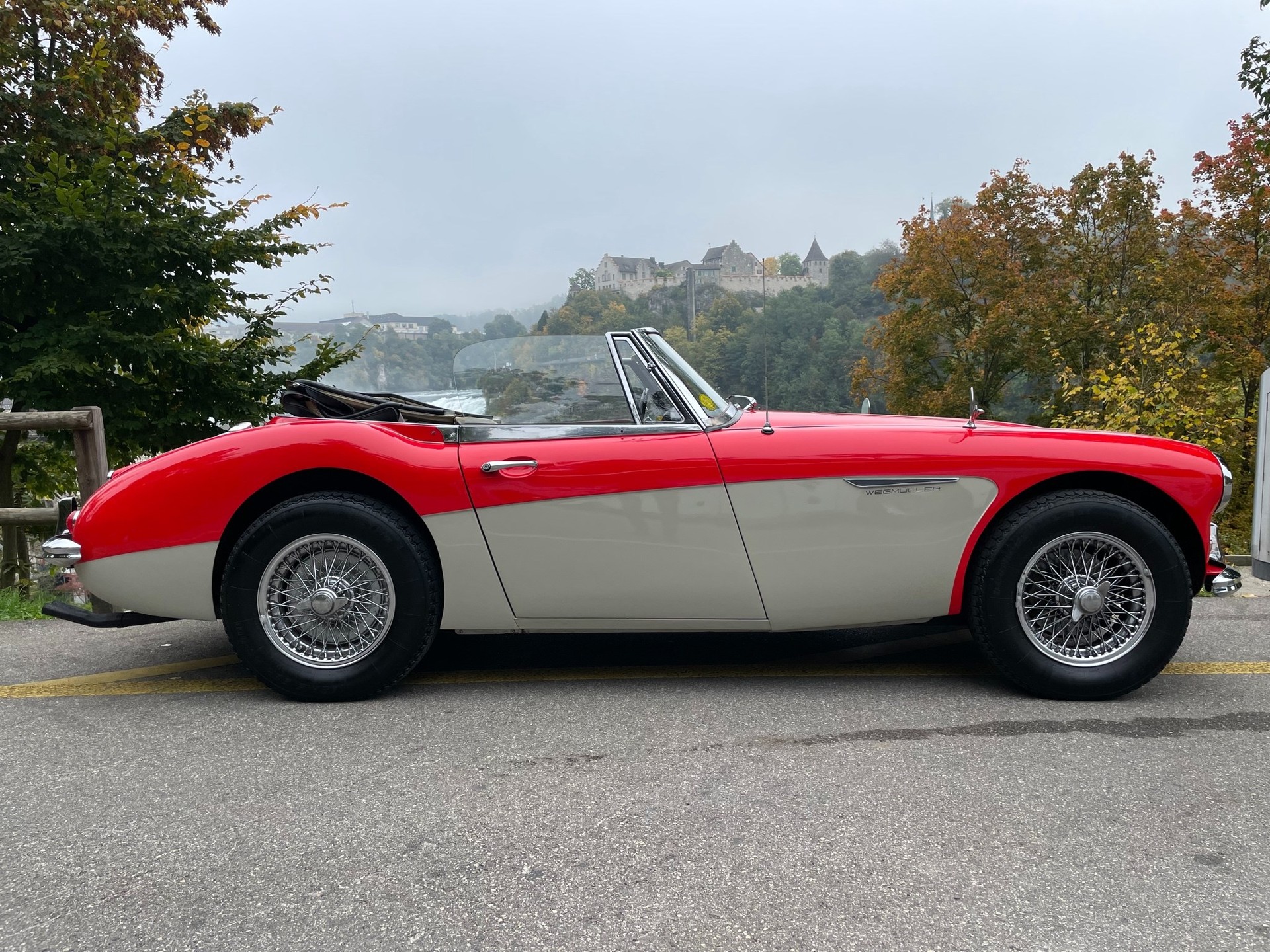 AUSTIN-HEALEY 3000 MK III-image-7