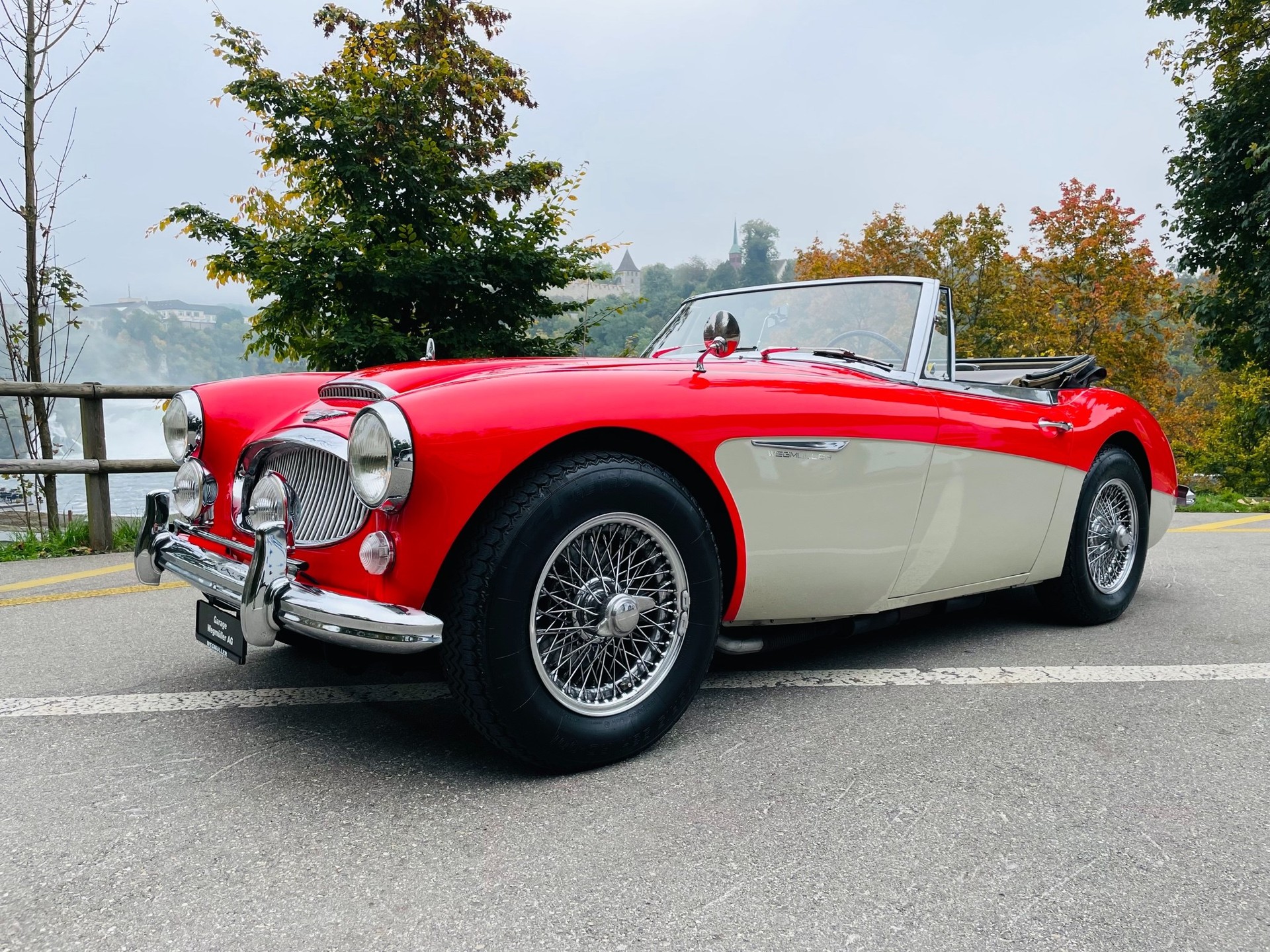AUSTIN-HEALEY 3000 MK III-showroom-element-3