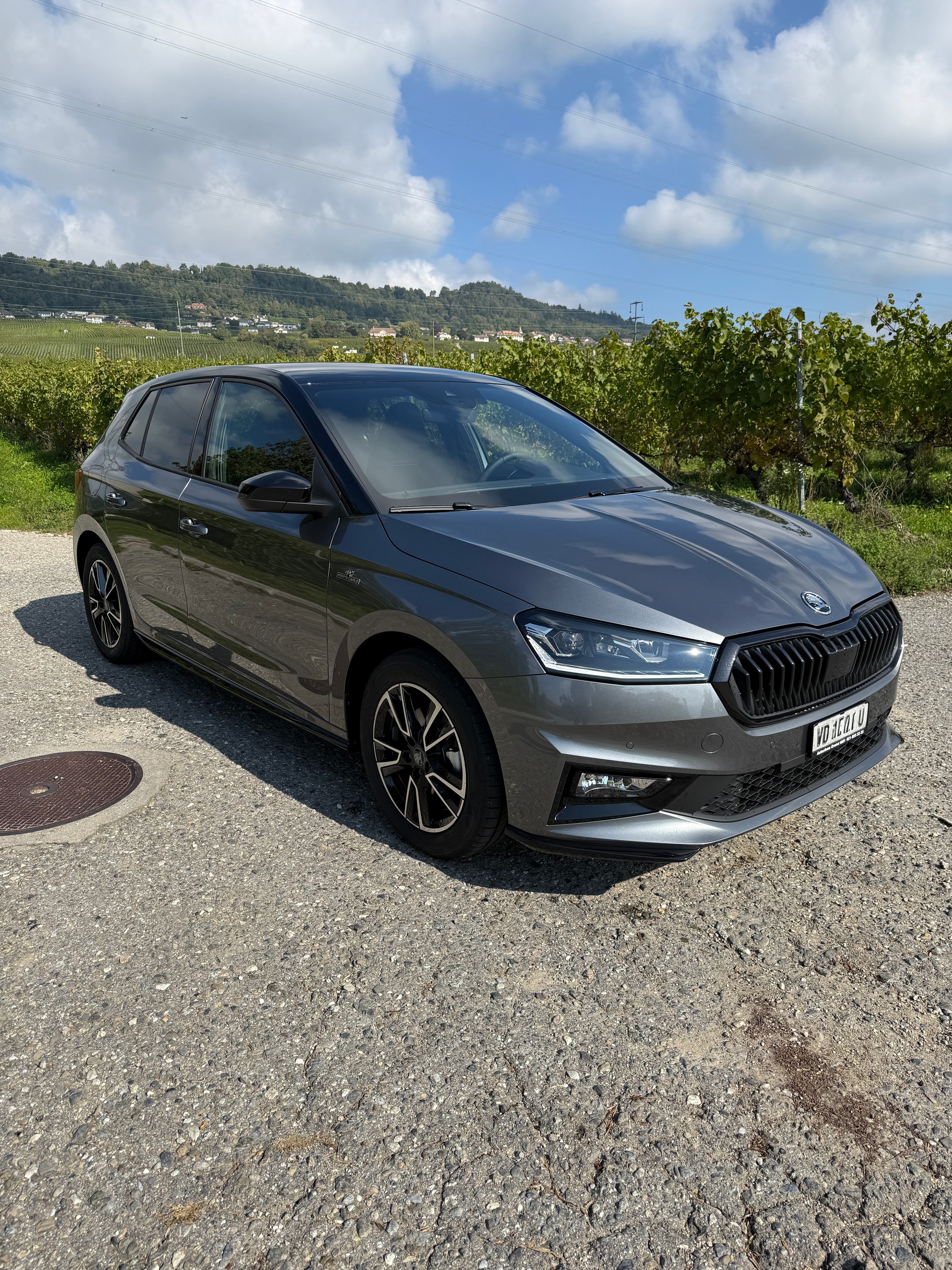 SKODA Fabia 1.5 TSI Monte Carlo DSG-image-2