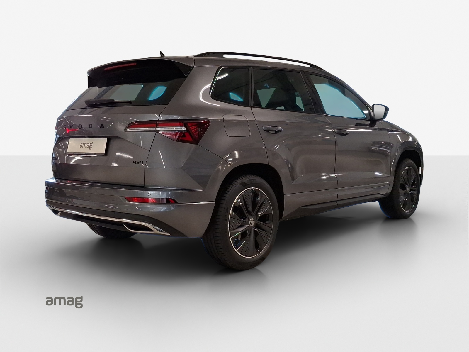 SKODA Karoq 2.0 TSI Dynamic Limited Edition 4x4 DSG-image-4