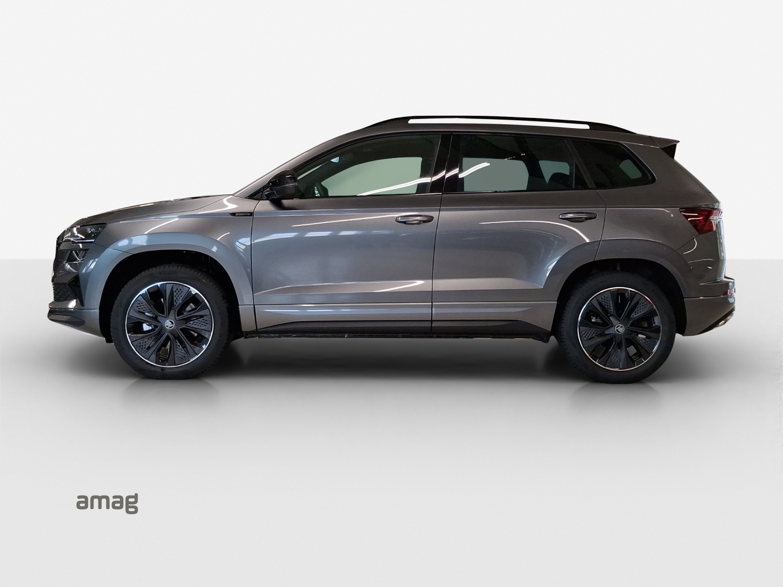 SKODA Karoq 2.0 TSI Dynamic Limited Edition 4x4 DSG-image-1