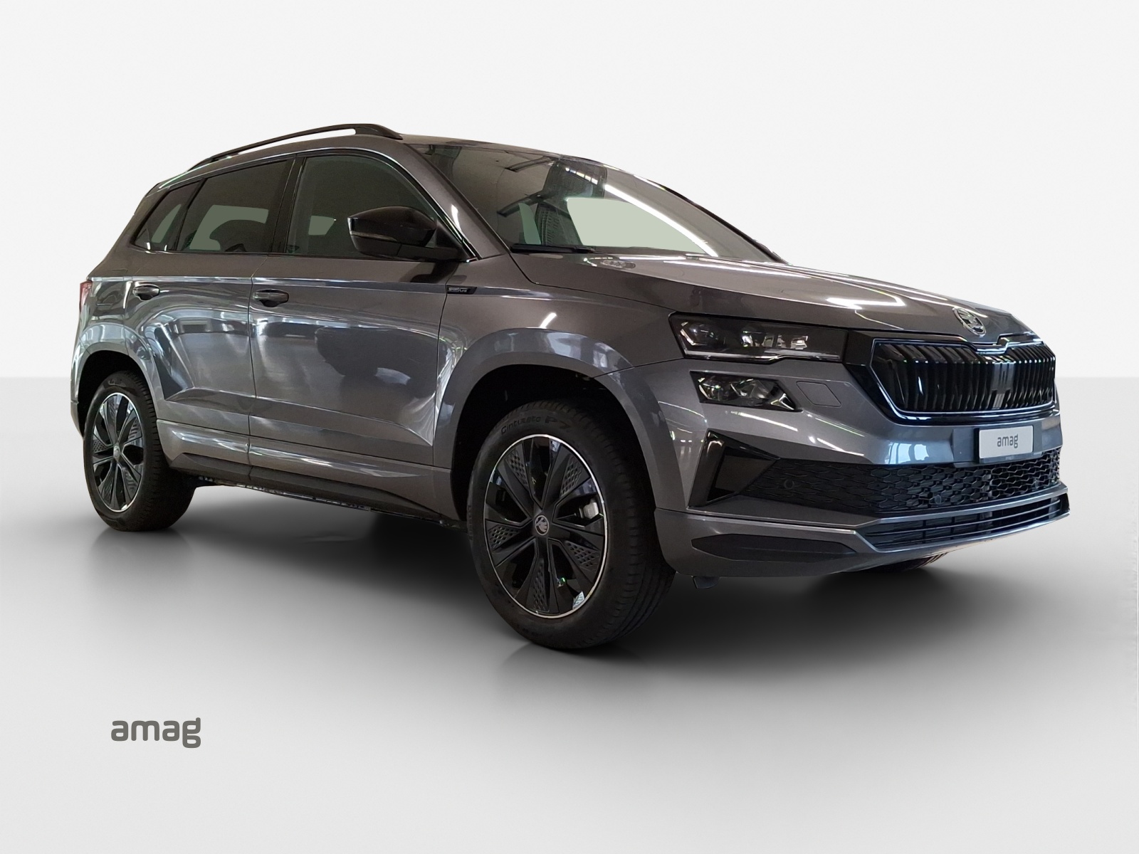 SKODA Karoq 2.0 TSI Dynamic Limited Edition 4x4 DSG-image-5