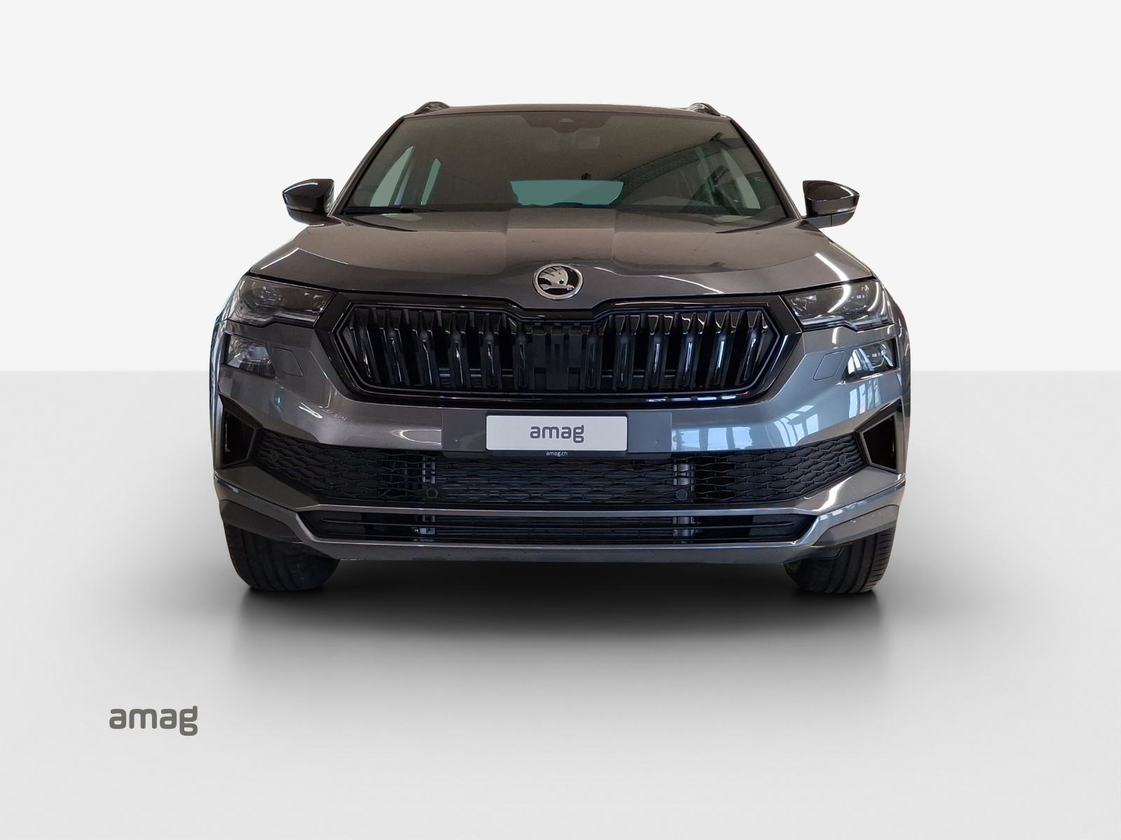 SKODA Karoq 2.0 TSI Dynamic Limited Edition 4x4 DSG-image-6