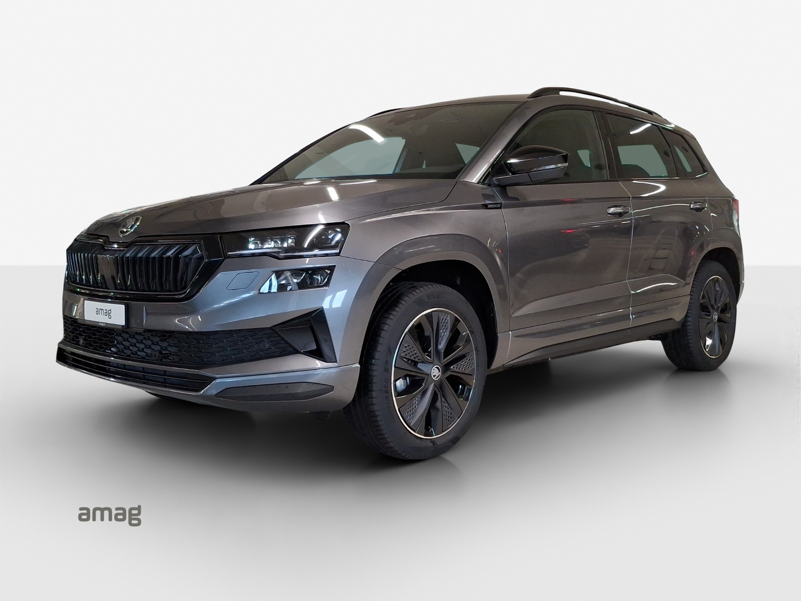SKODA Karoq 2.0 TSI Dynamic Limited Edition 4x4 DSG-image-0