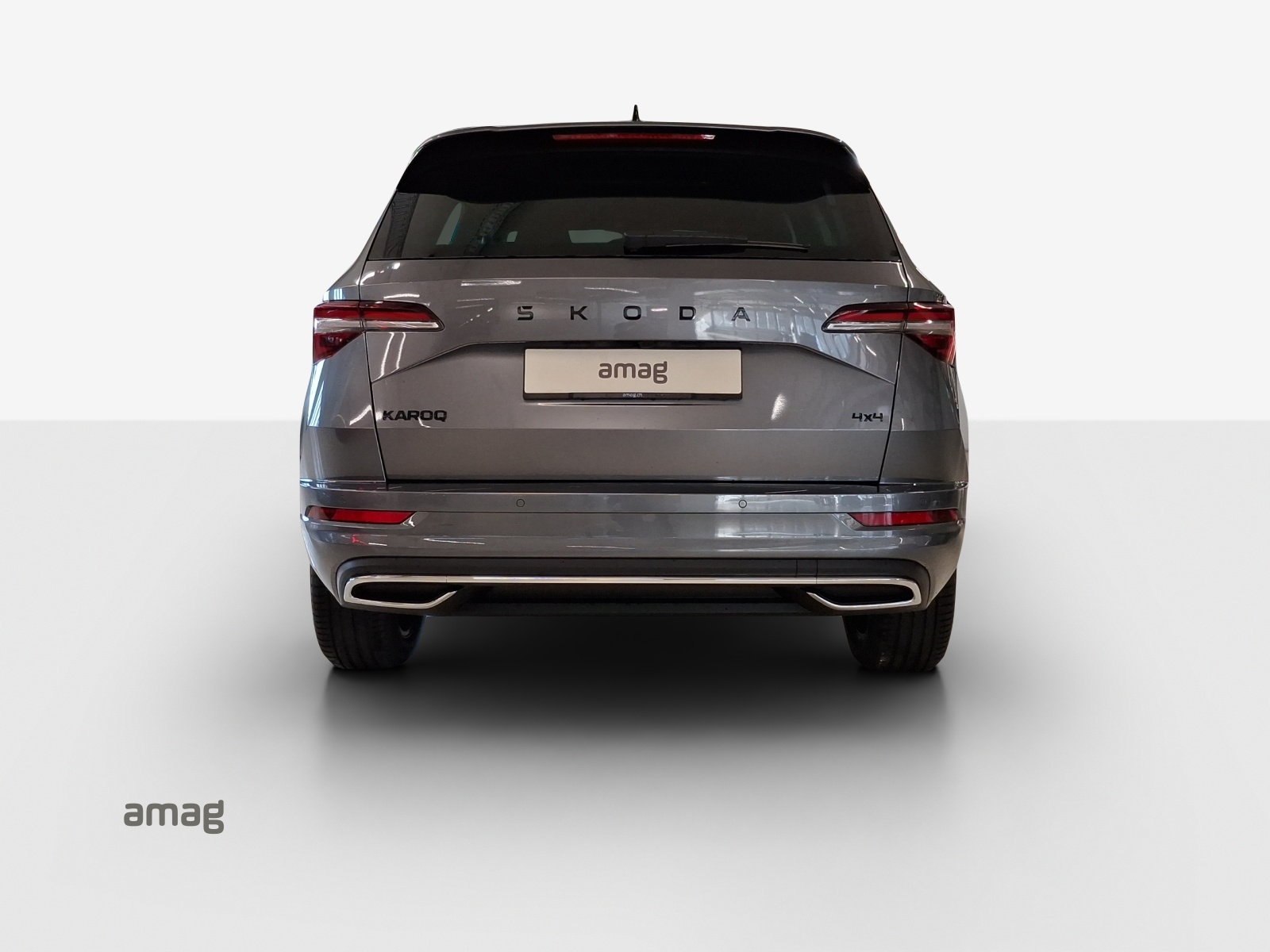 SKODA Karoq 2.0 TSI Dynamic Limited Edition 4x4 DSG-image-3