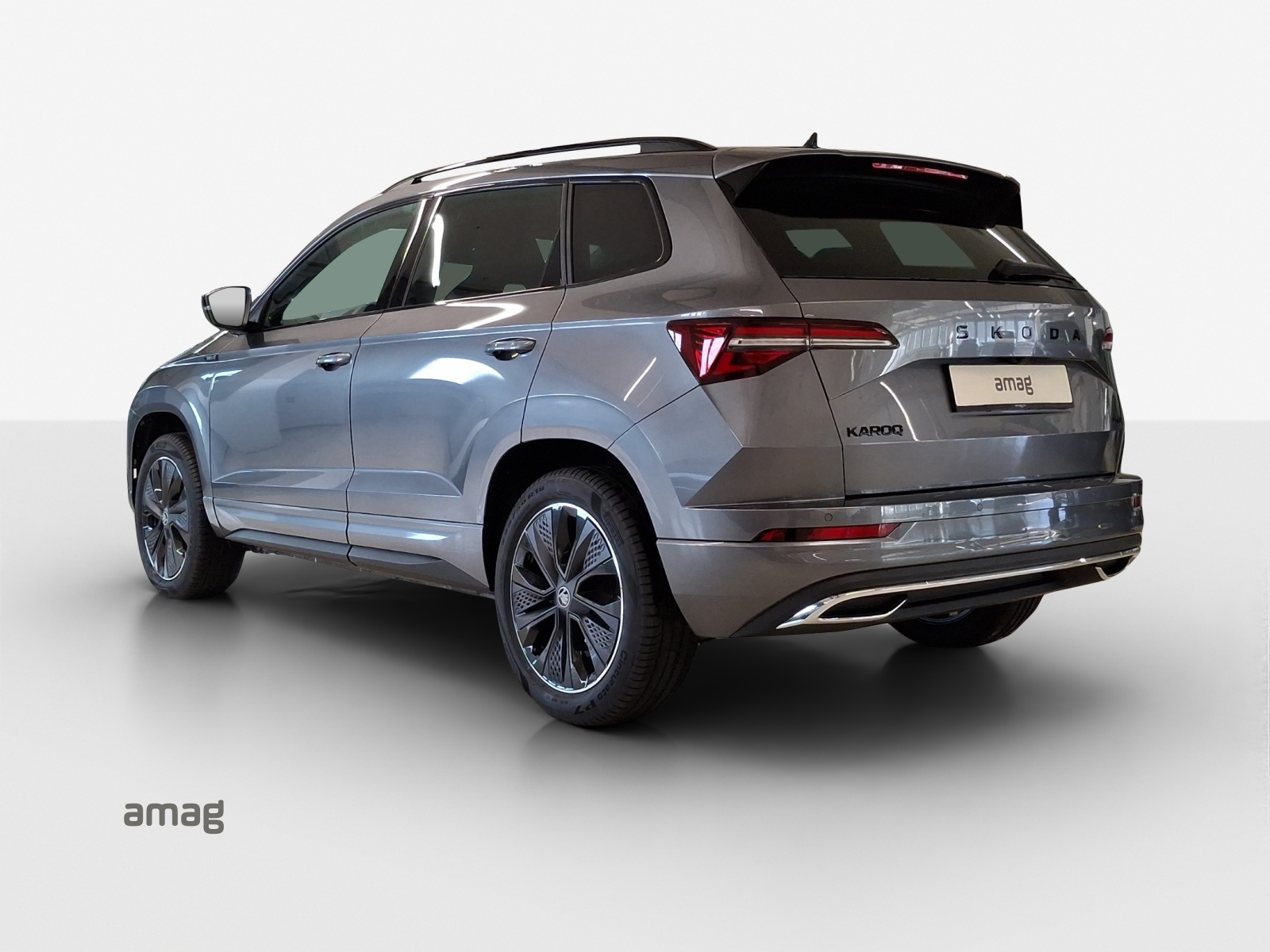 SKODA Karoq 2.0 TSI Dynamic Limited Edition 4x4 DSG-image-2