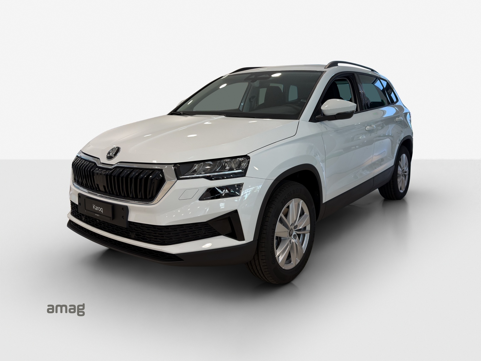SKODA Karoq 2.0 TDI CR Selection 4x4 DSG-image-0