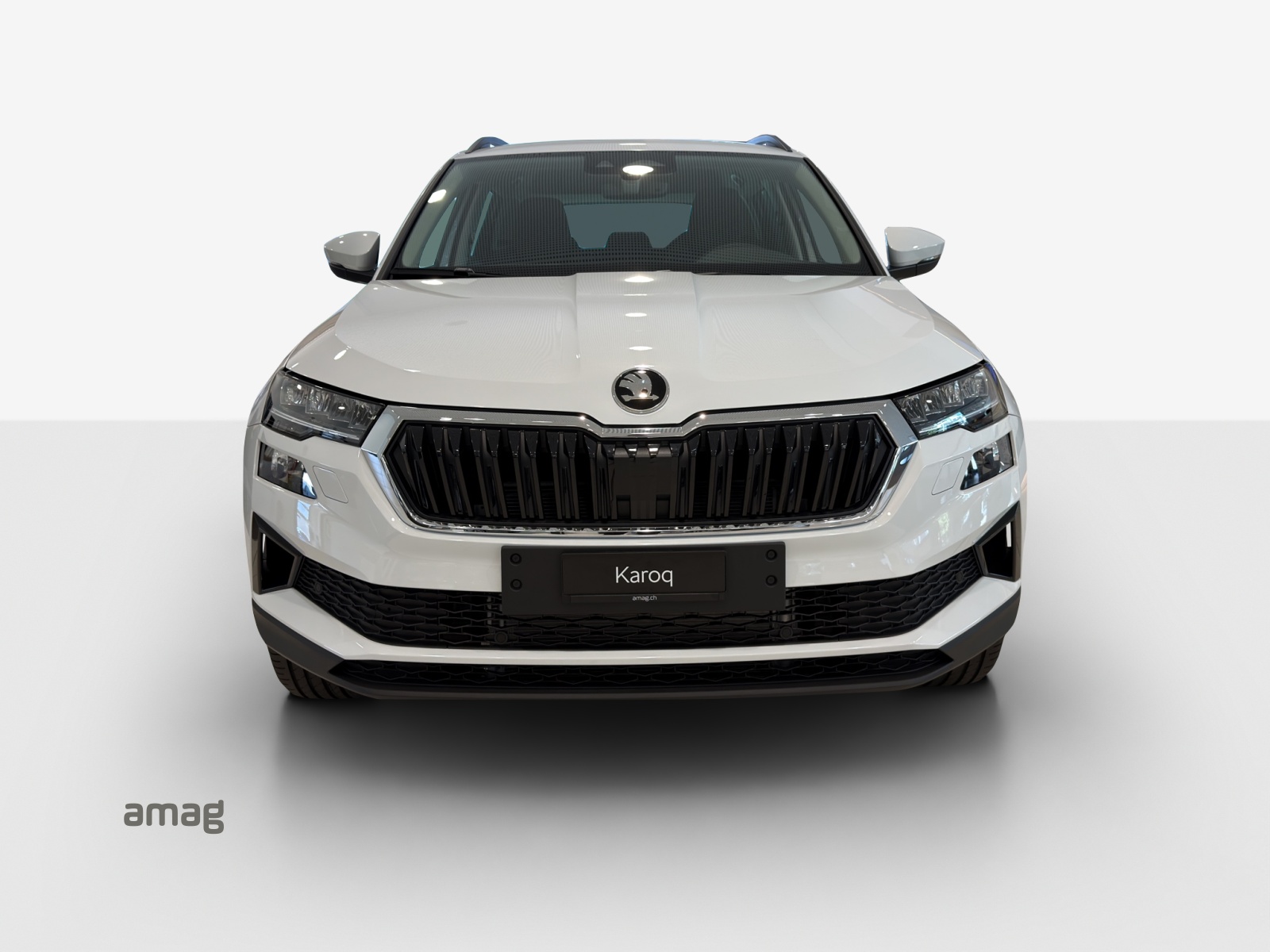 SKODA Karoq 2.0 TDI CR Selection 4x4 DSG-image-6