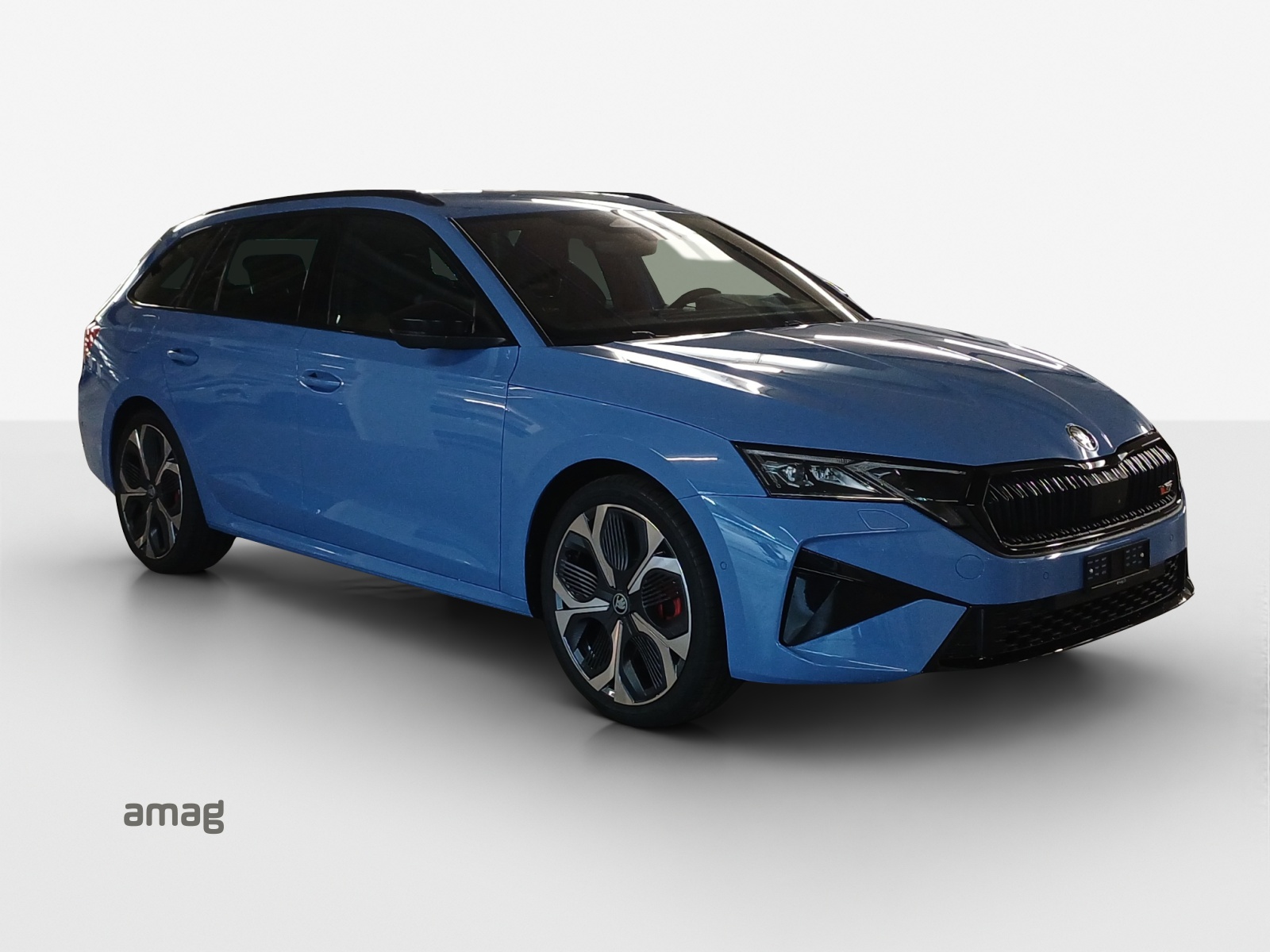 SKODA Octavia Combi 2.0 TSI DSG RS 30 Years Edition-image-5