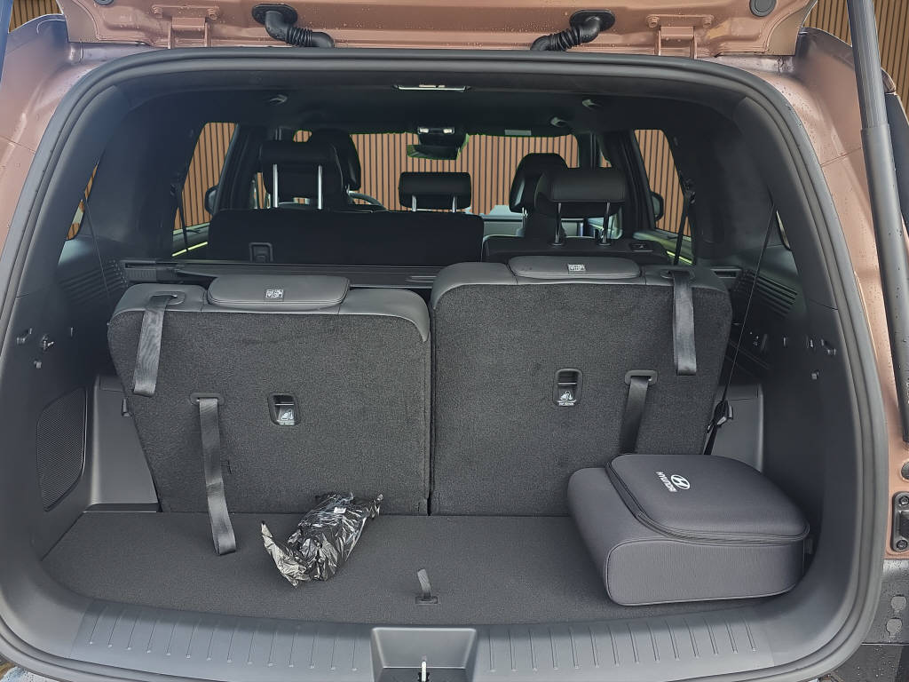 HYUNDAI Santa Fe 1.6 T-GDi PHEV Calligraphy AWD 7Plätzer-image-13