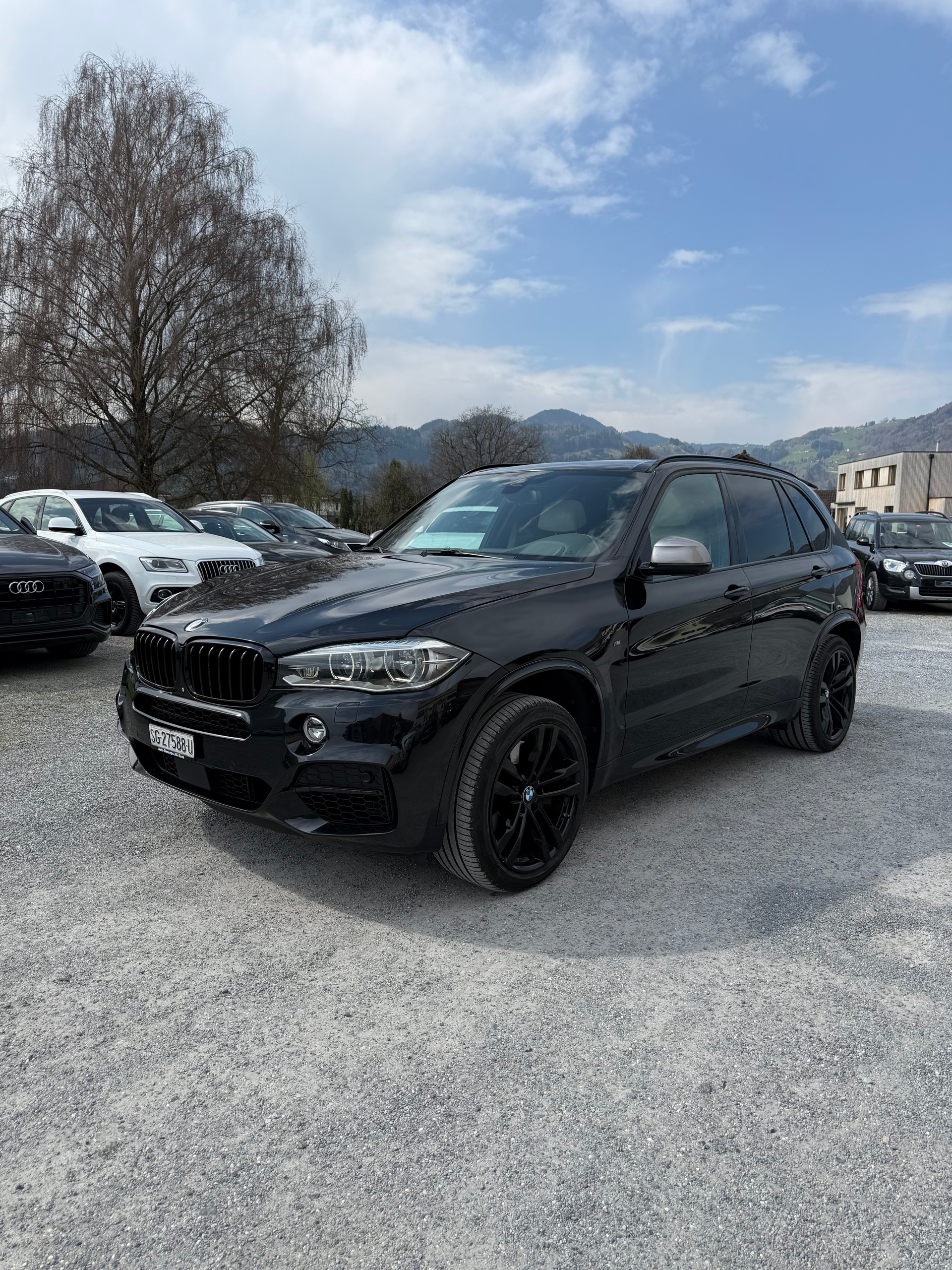 BMW X5 xDrive M50d Steptronic-image-0