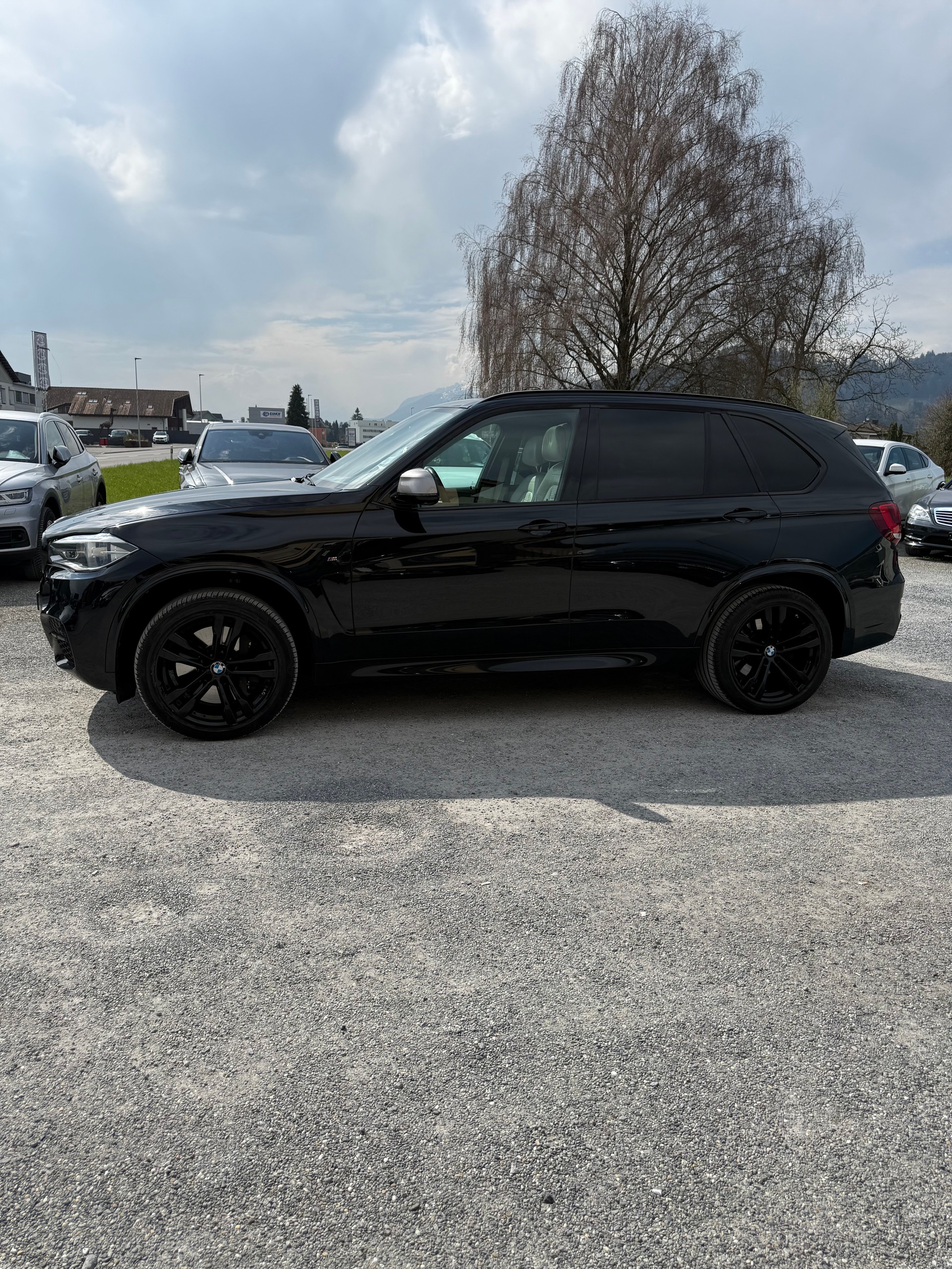 BMW X5 xDrive M50d Steptronic-image-5