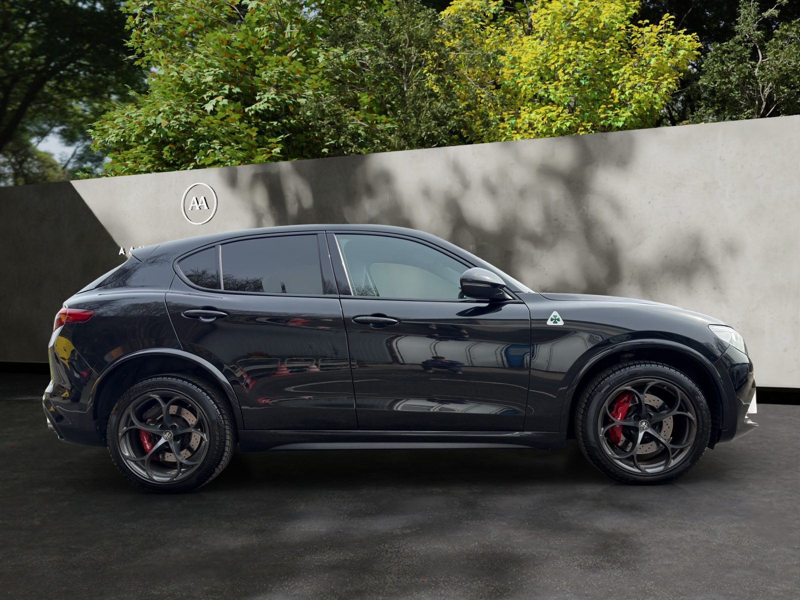 ALFA ROMEO Stelvio 2.9 V6 Quadrifoglio Q4 Automatic-image-6