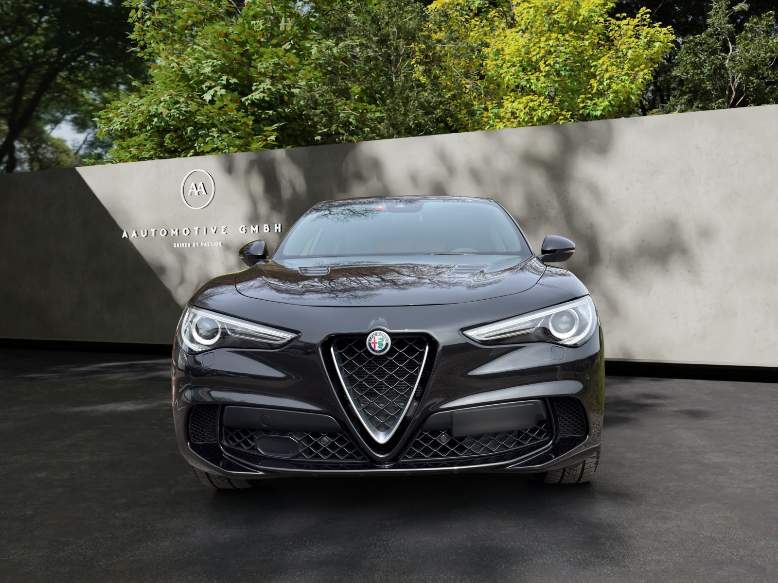 ALFA ROMEO Stelvio 2.9 V6 Quadrifoglio Q4 Automatic-showroom-element-1