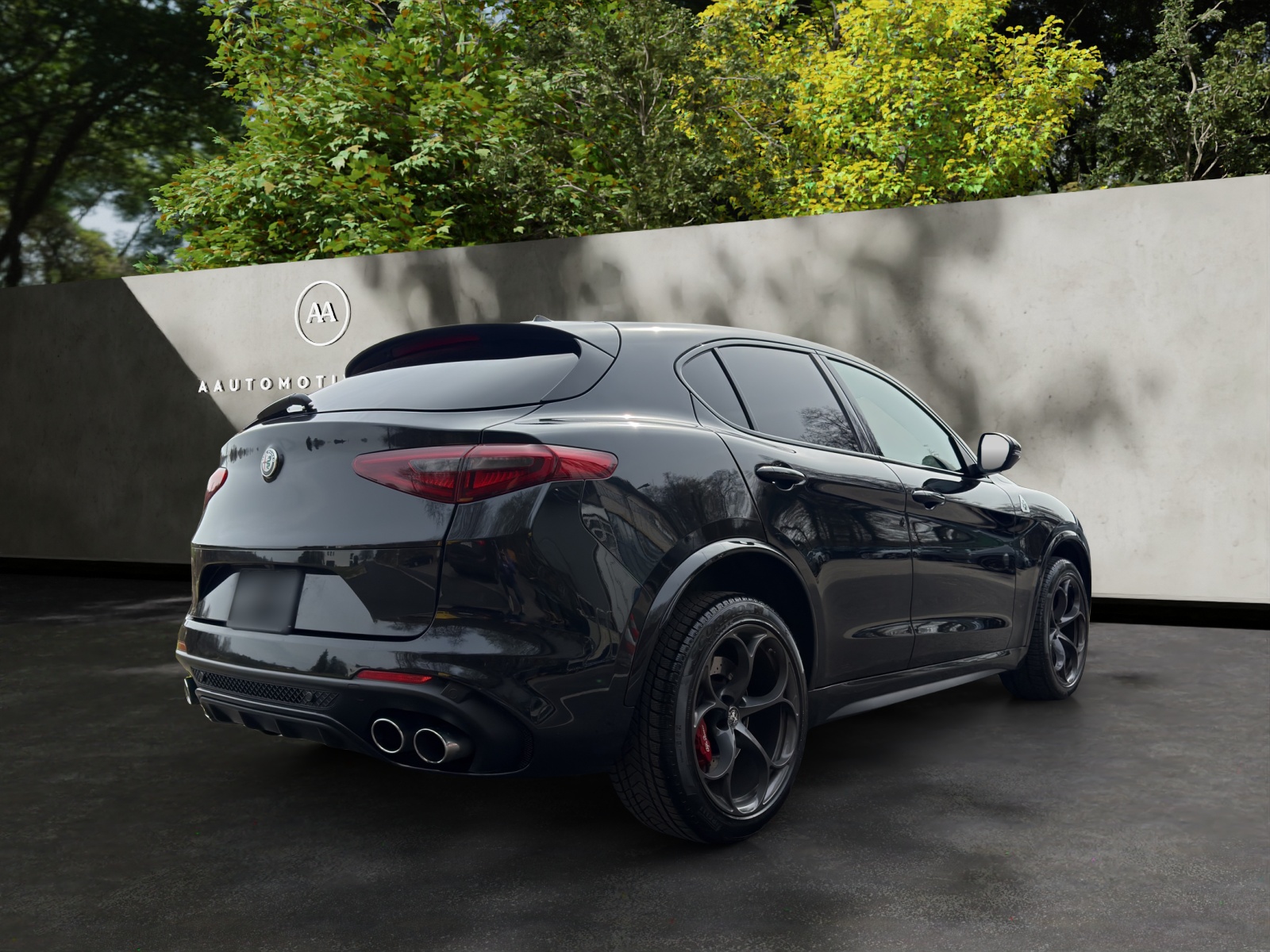ALFA ROMEO Stelvio 2.9 V6 Quadrifoglio Q4 Automatic-image-5
