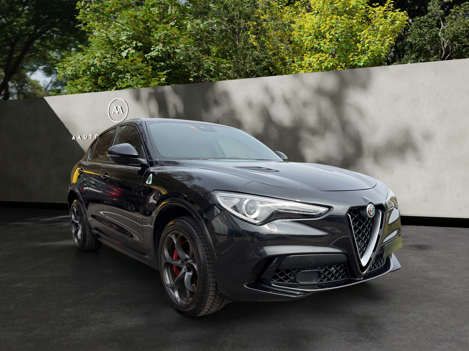 ALFA ROMEO Stelvio 2.9 V6 Quadrifoglio Q4 Automatic-image-7