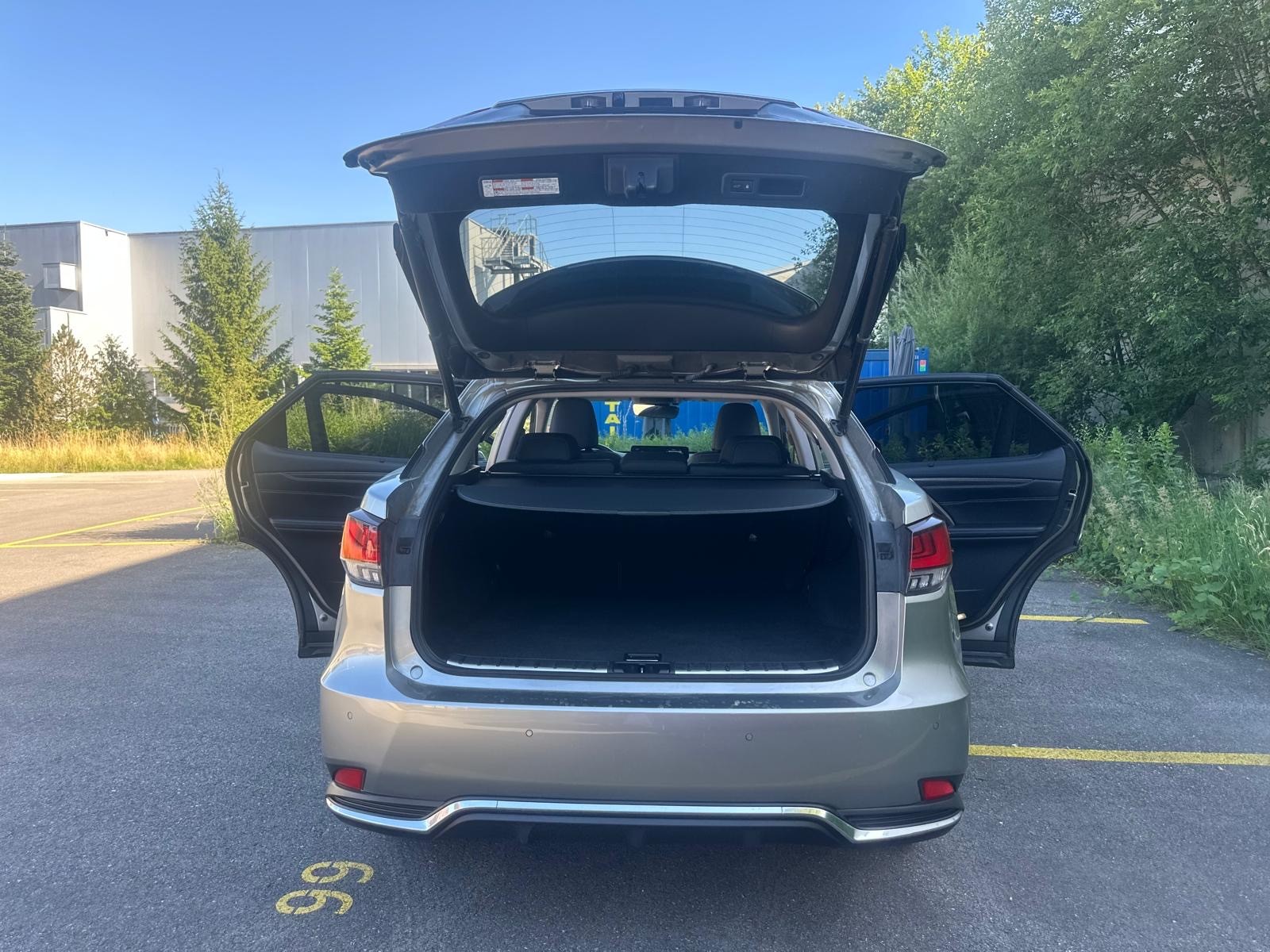 LEXUS RX 450h excellence AWD CVT-image-6