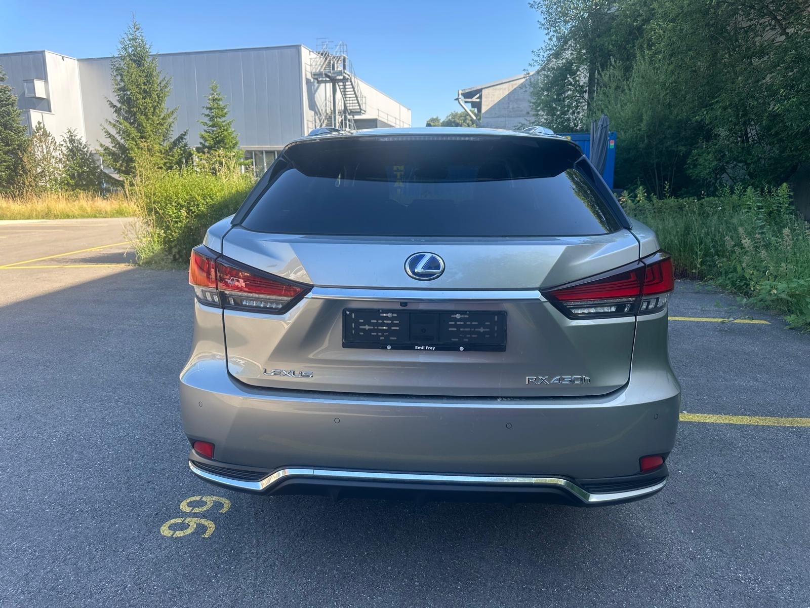 LEXUS RX 450h excellence AWD CVT-image-5