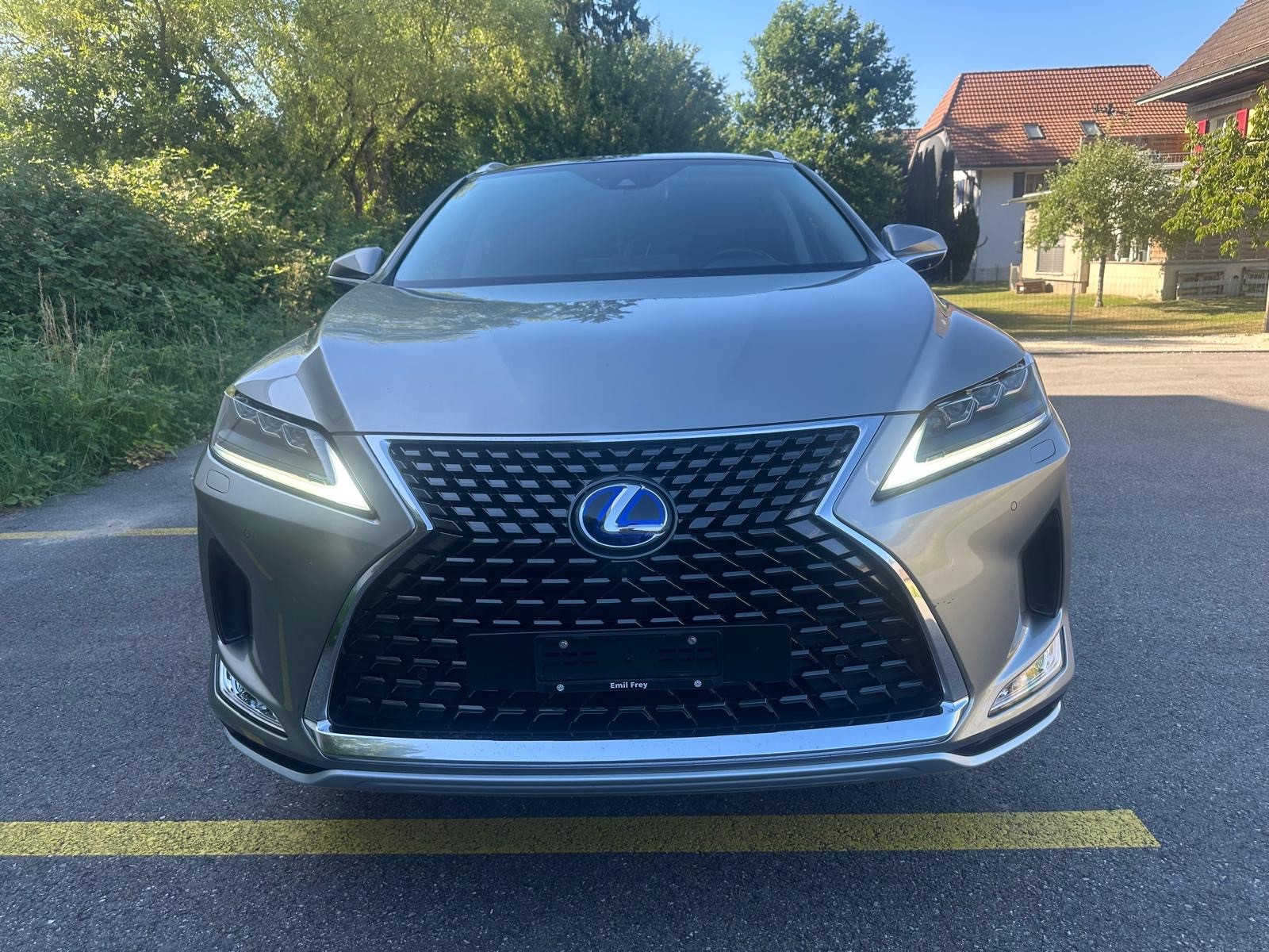 LEXUS RX 450h excellence AWD CVT-image-4