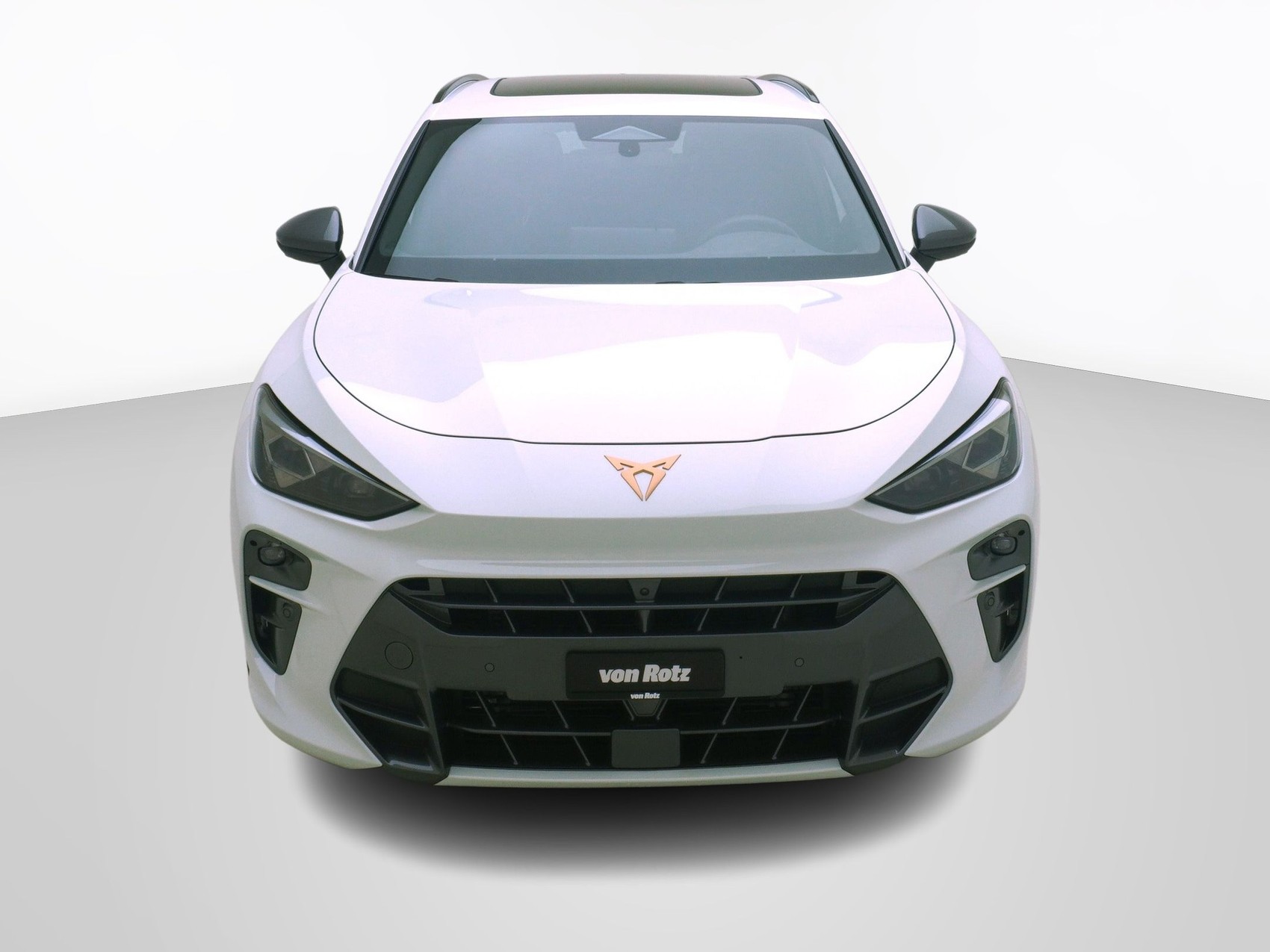 CUPRA Terramar 2.0 TSI VZ 4Drive DSG-image-5