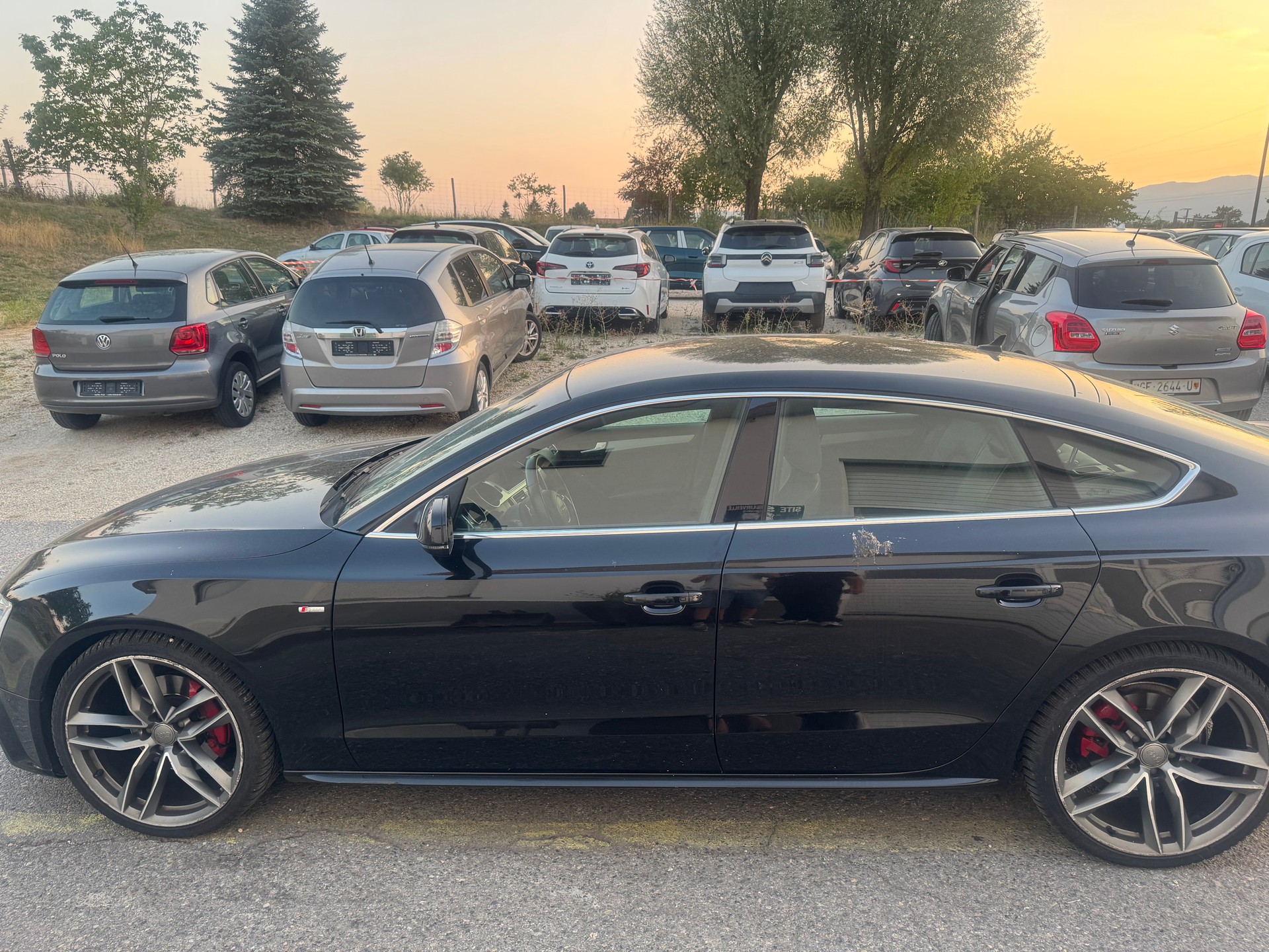 AUDI A5 Sportback 3.0 TDI quattro S-tronic-image-6