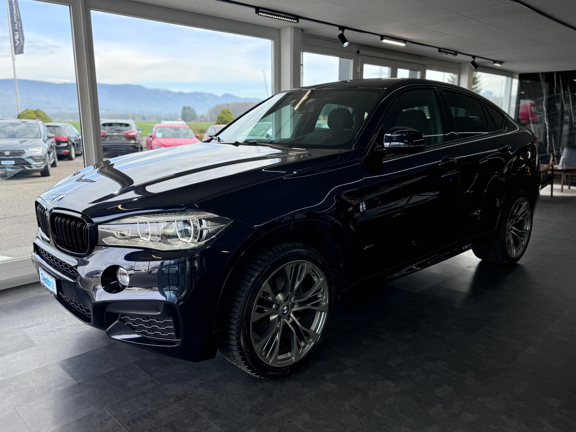 BMW X6 xDrive 30d M Sport Steptronic-image-2