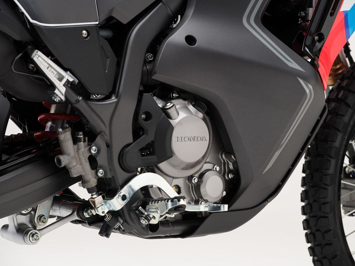 HONDA CRF 300 RALLY-image-6