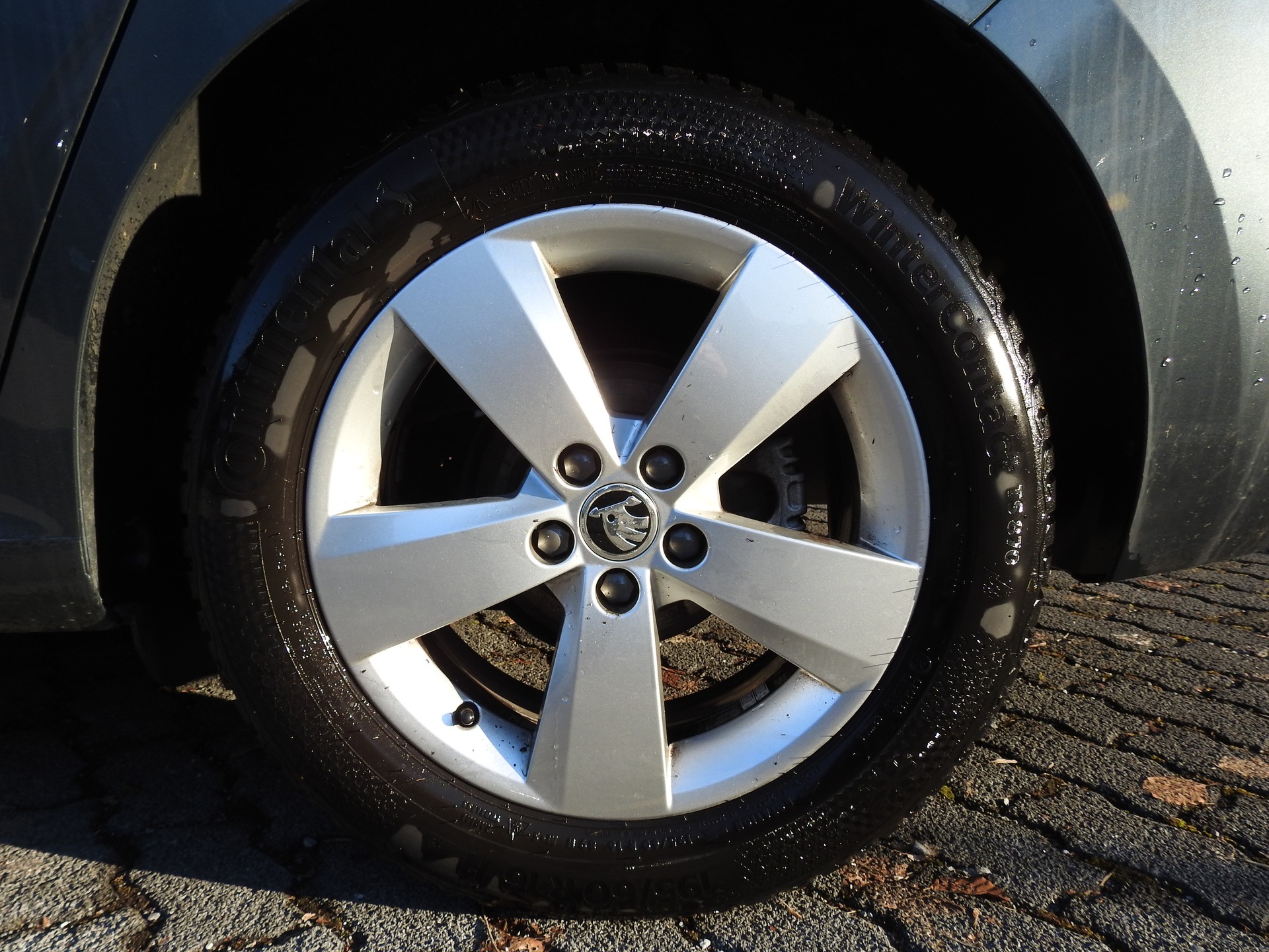 SKODA Scala 1.0 TSI Ambition-image-6