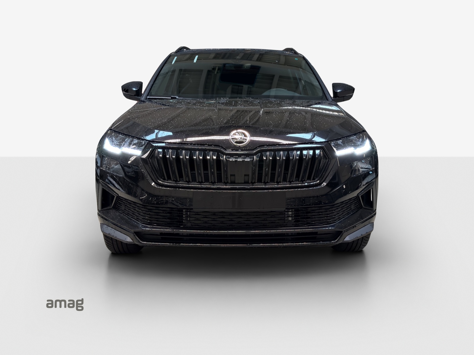 SKODA Karoq 2.0 TSI SportLine 4x4 DSG-image-6